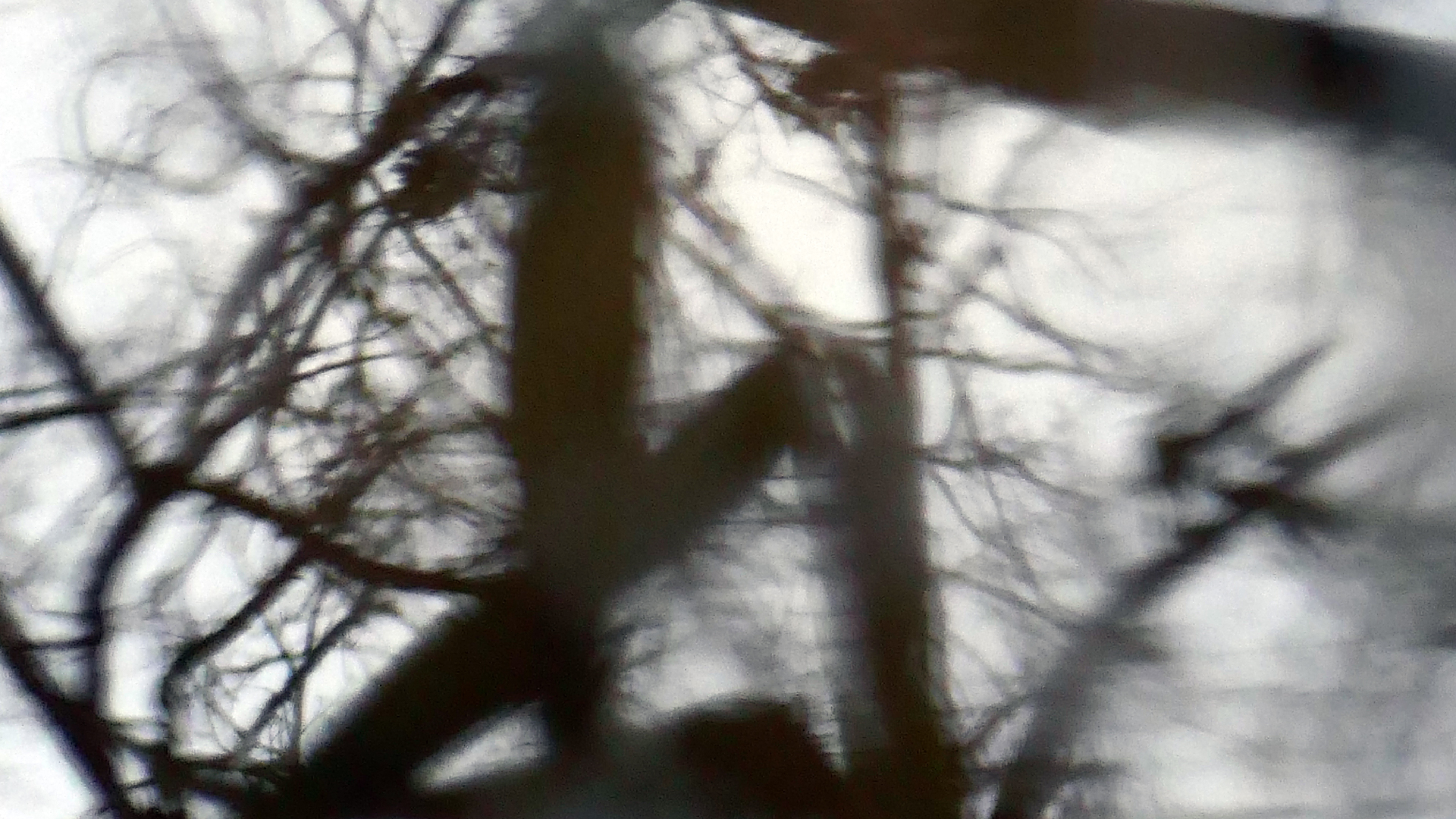 2022-02-17 Das Kleine Regen Rhythmus Orchester - Regen und Wind (Audio, Video)