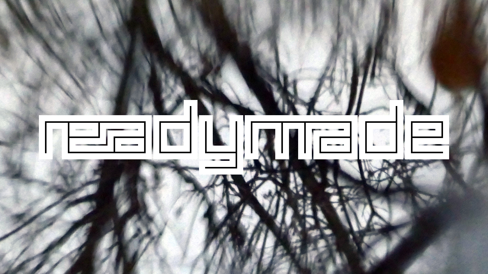 2022-02-17 Das Kleine Regen Rhythmus Orchester - Regen und Wind (Audio, Video)