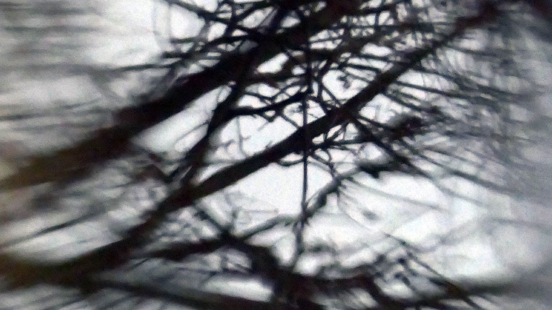 2022-02-17 Das Kleine Regen Rhythmus Orchester - Regen und Wind (Audio, Video)