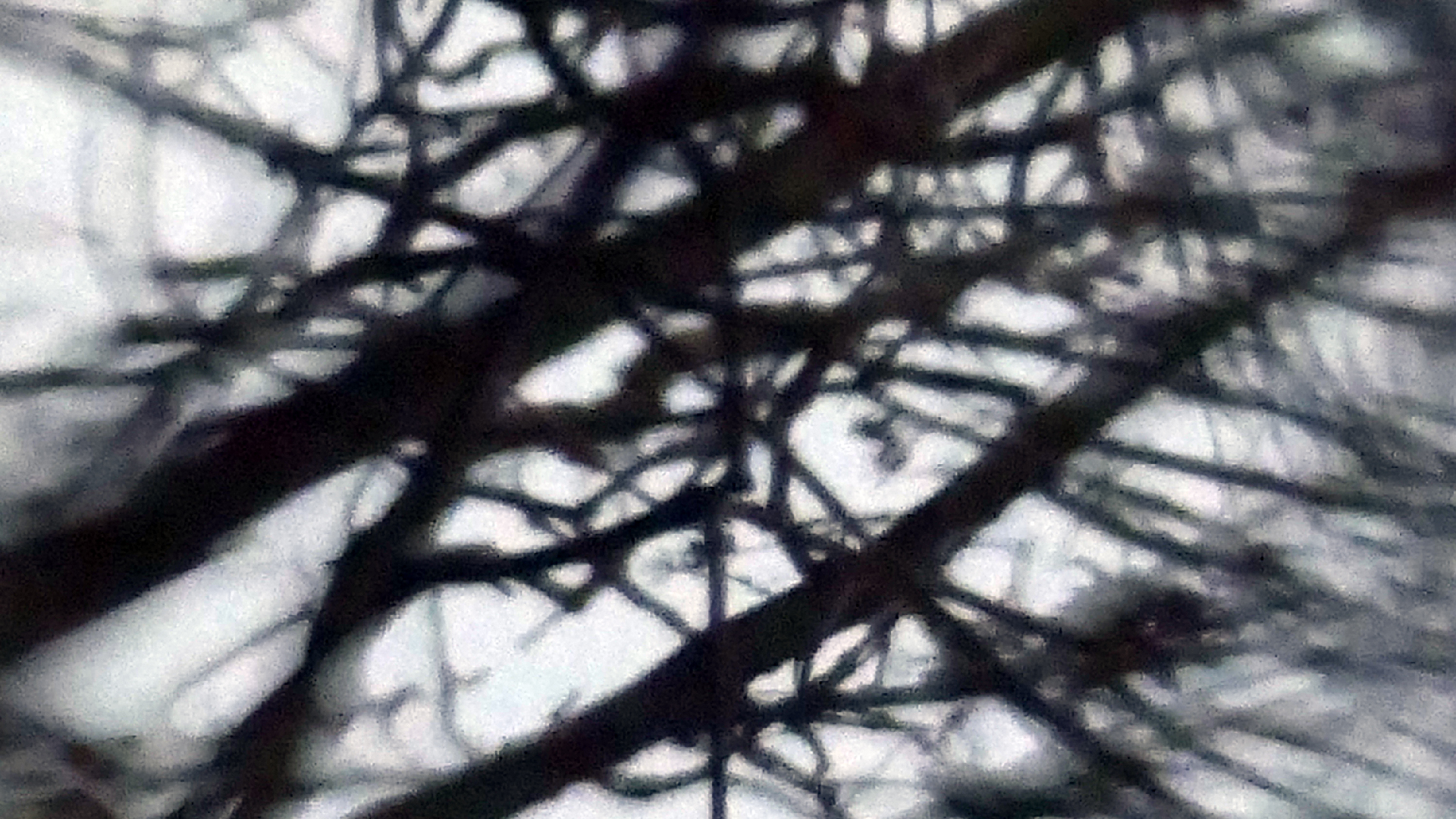 2022-02-17 Das Kleine Regen Rhythmus Orchester - Regen und Wind (Audio, Video)