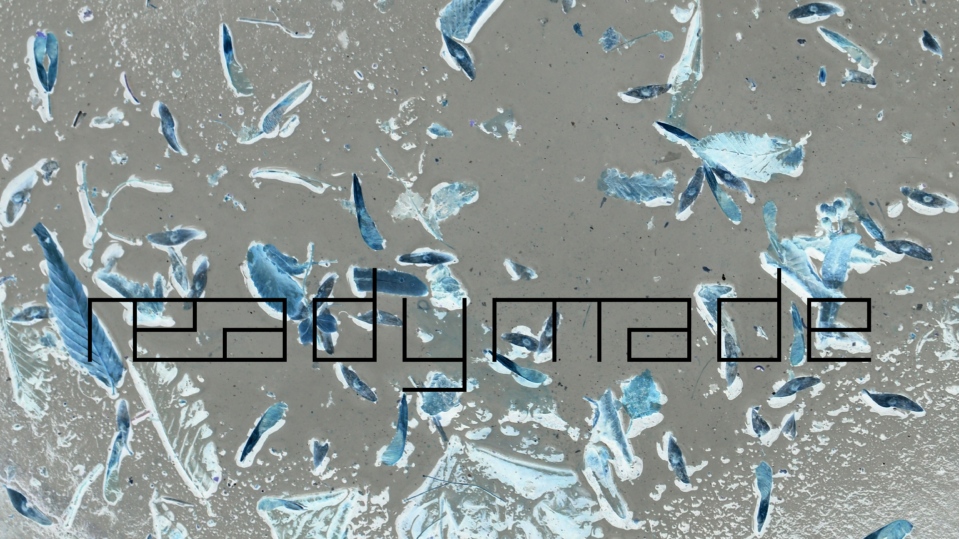 2022-02-17 Das Kleine Regen Rhythmus Orchester - Regen und Wind (Audio, Video)