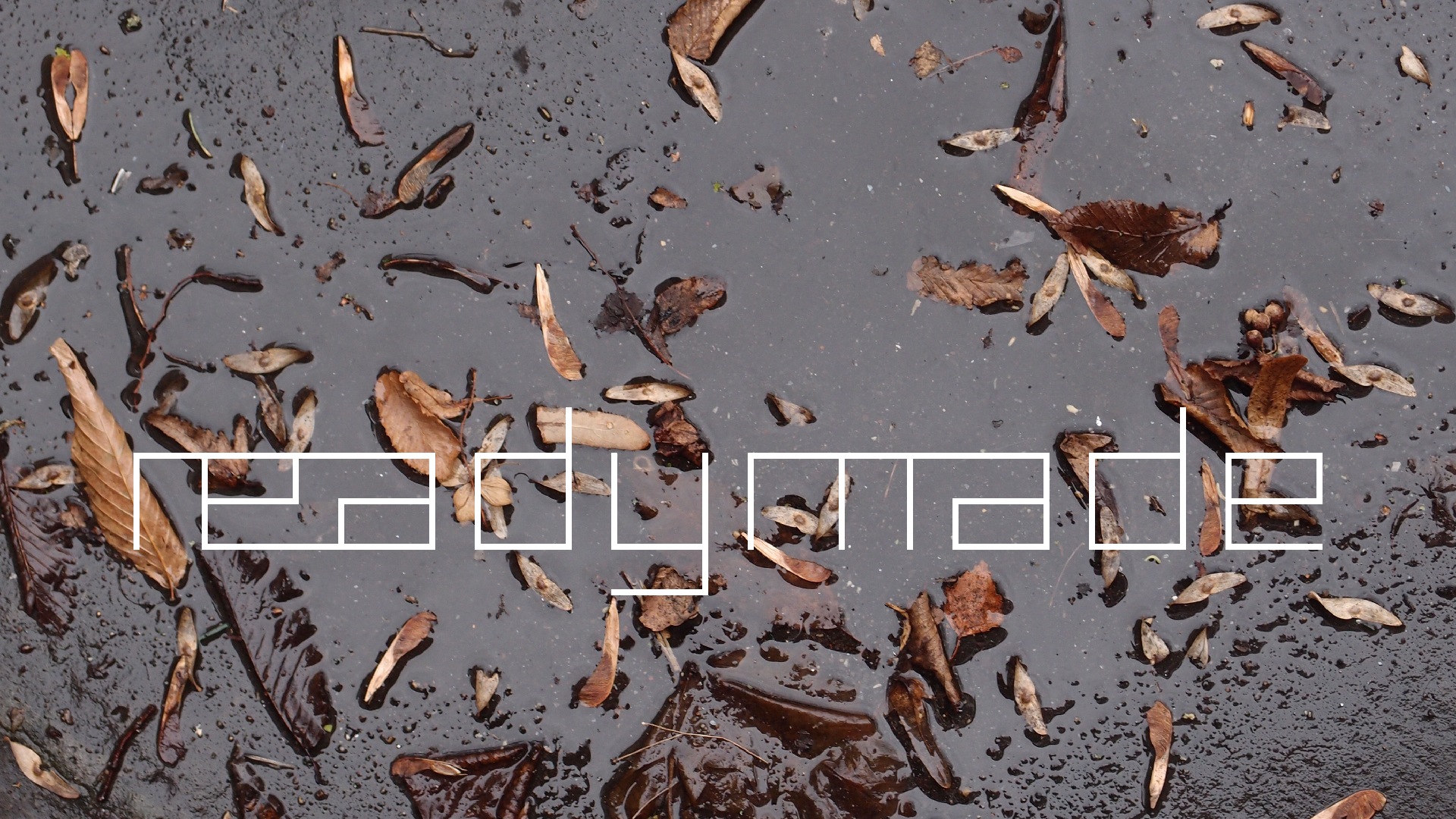 2022-02-17 Das Kleine Regen Rhythmus Orchester - Regen und Wind (Audio, Video)