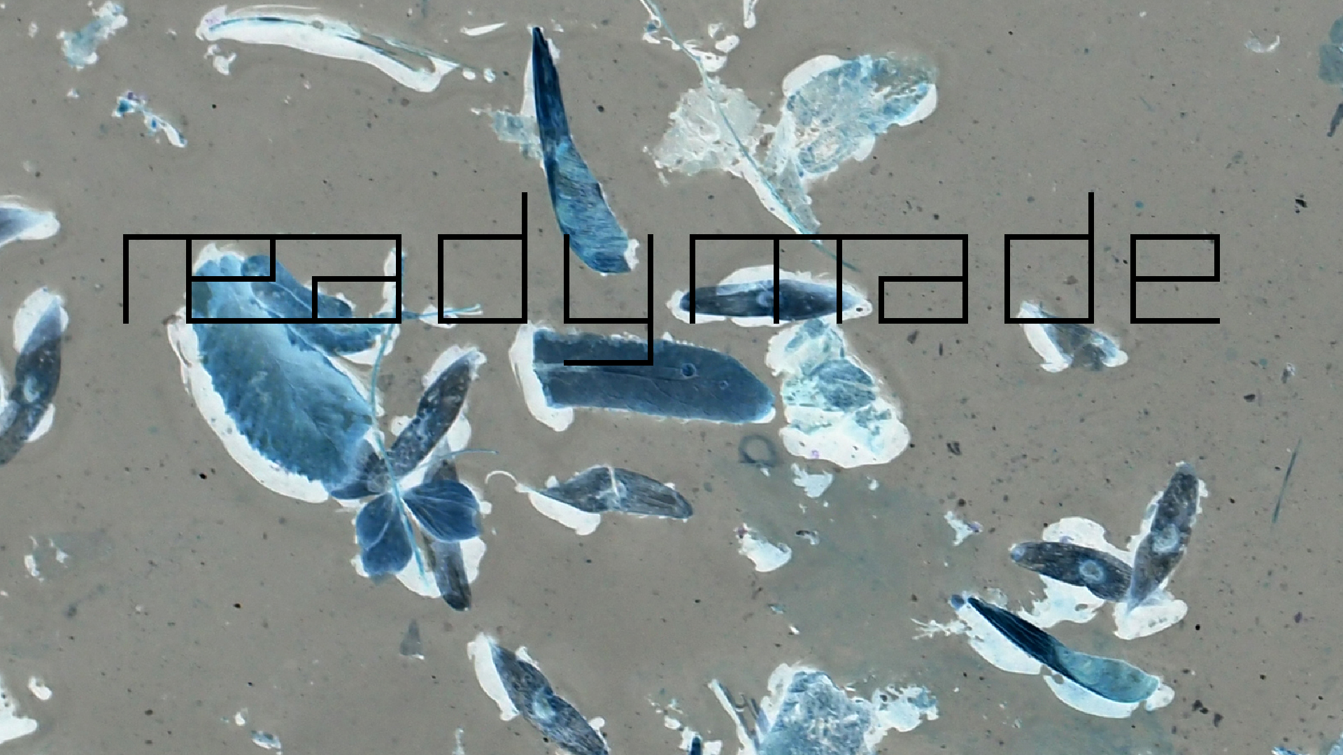 2022-02-17 Das Kleine Regen Rhythmus Orchester - Regen und Wind (Audio, Video)