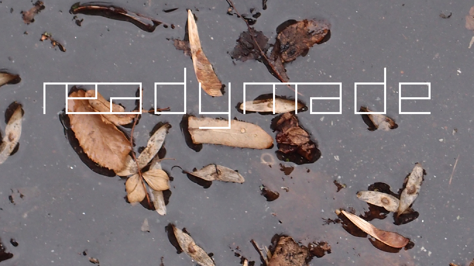 2022-02-17 Das Kleine Regen Rhythmus Orchester - Regen und Wind (Audio, Video)