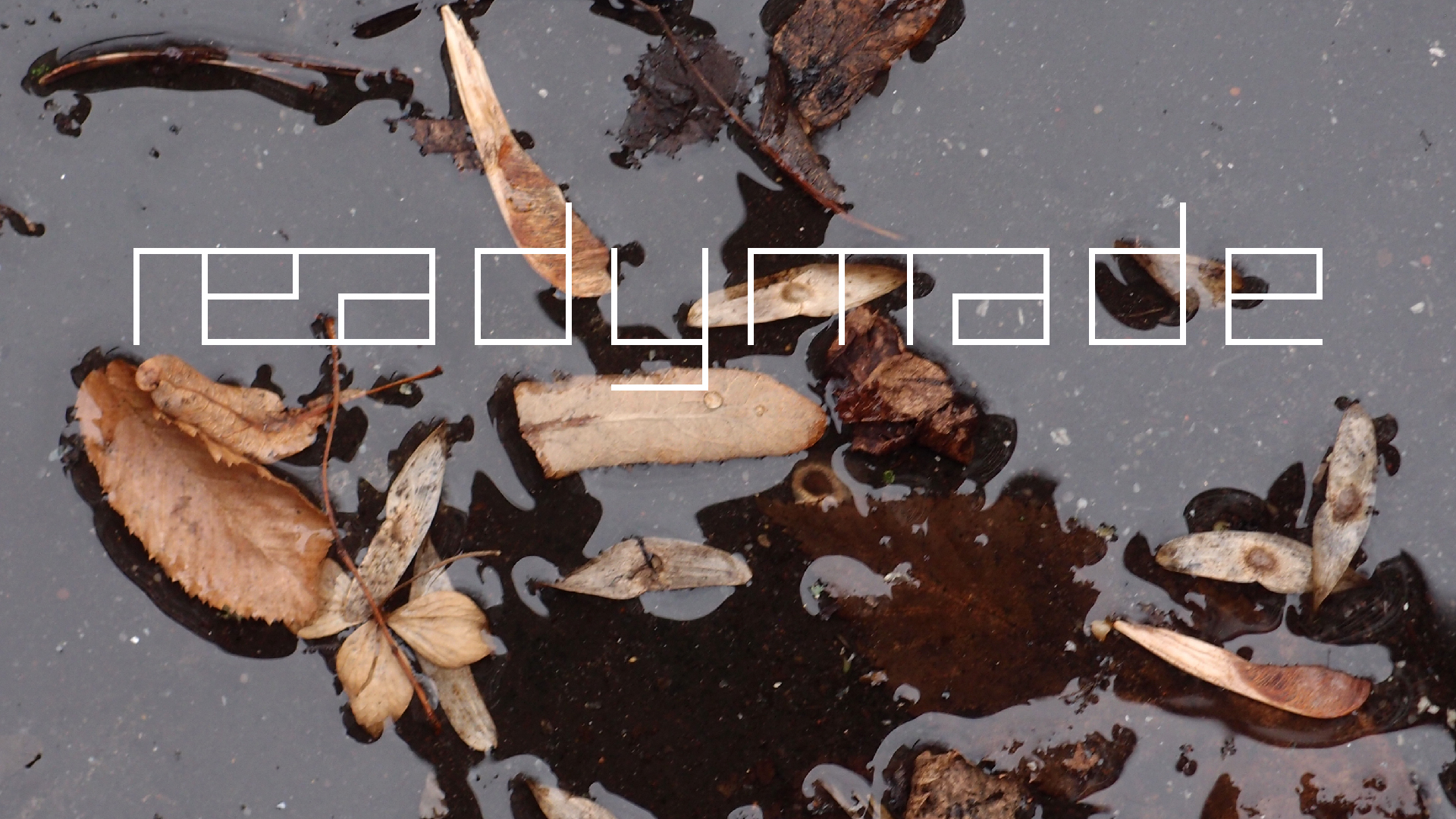 2022-02-17 Das Kleine Regen Rhythmus Orchester - Regen und Wind (Audio, Video)