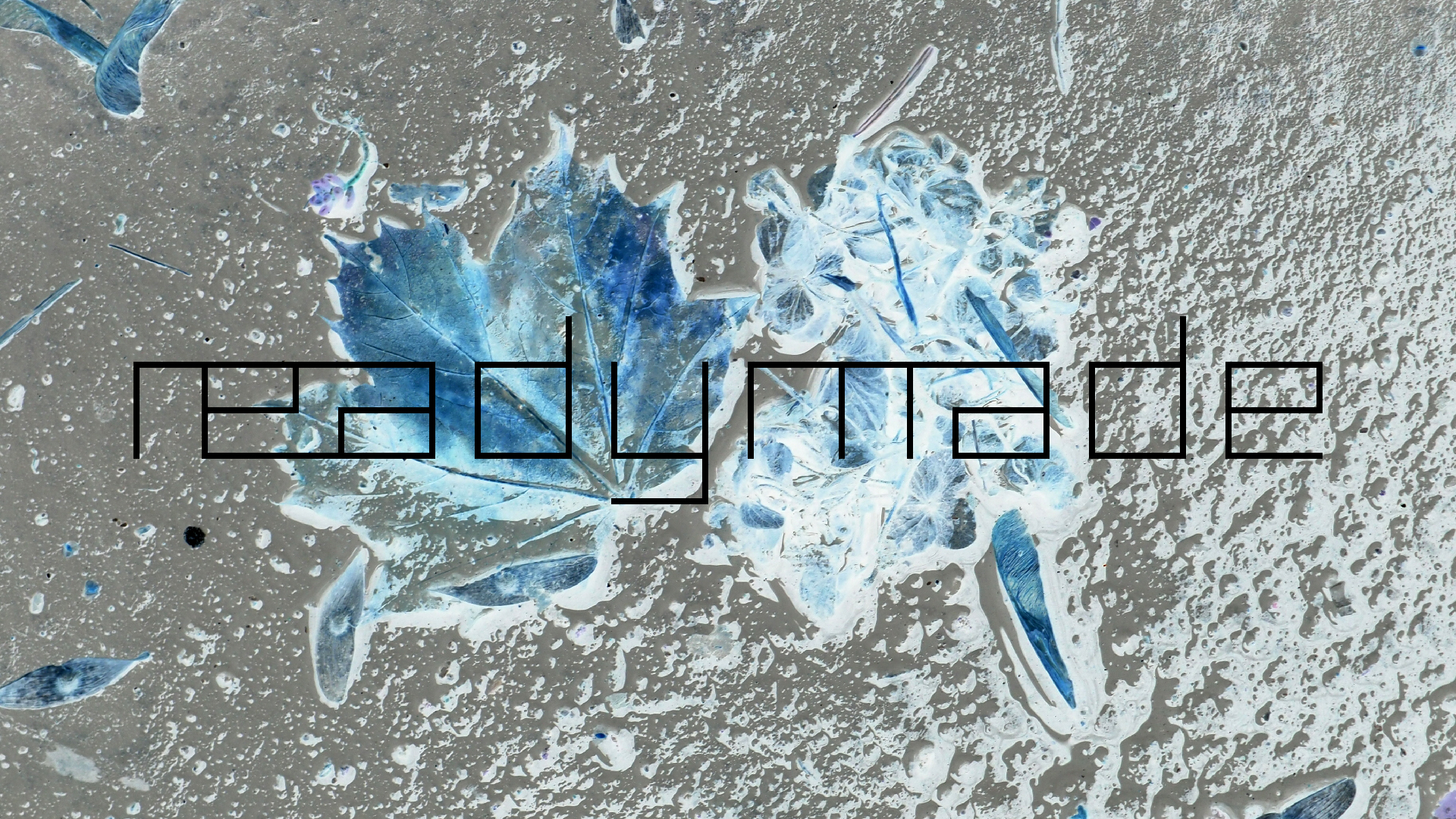 2022-02-17 Das Kleine Regen Rhythmus Orchester - Regen und Wind (Audio, Video)