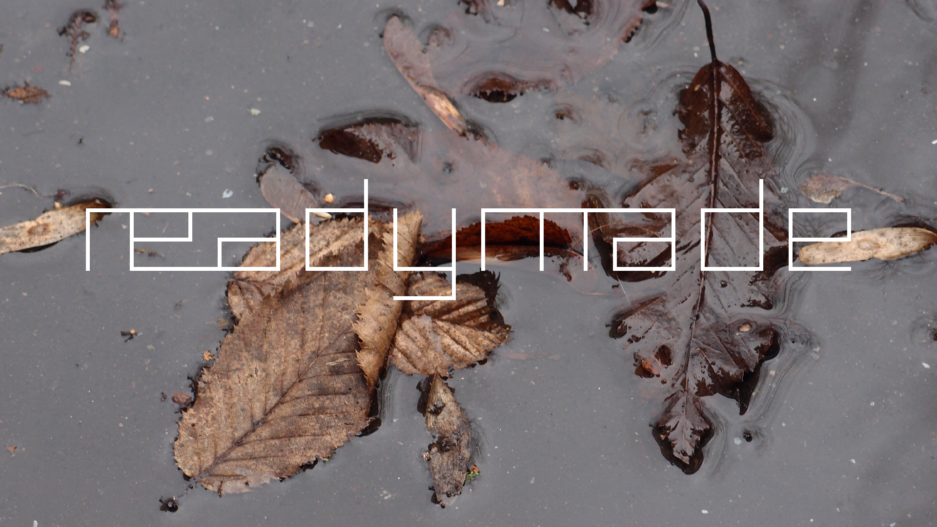 2022-02-17 Das Kleine Regen Rhythmus Orchester - Regen und Wind (Audio, Video)