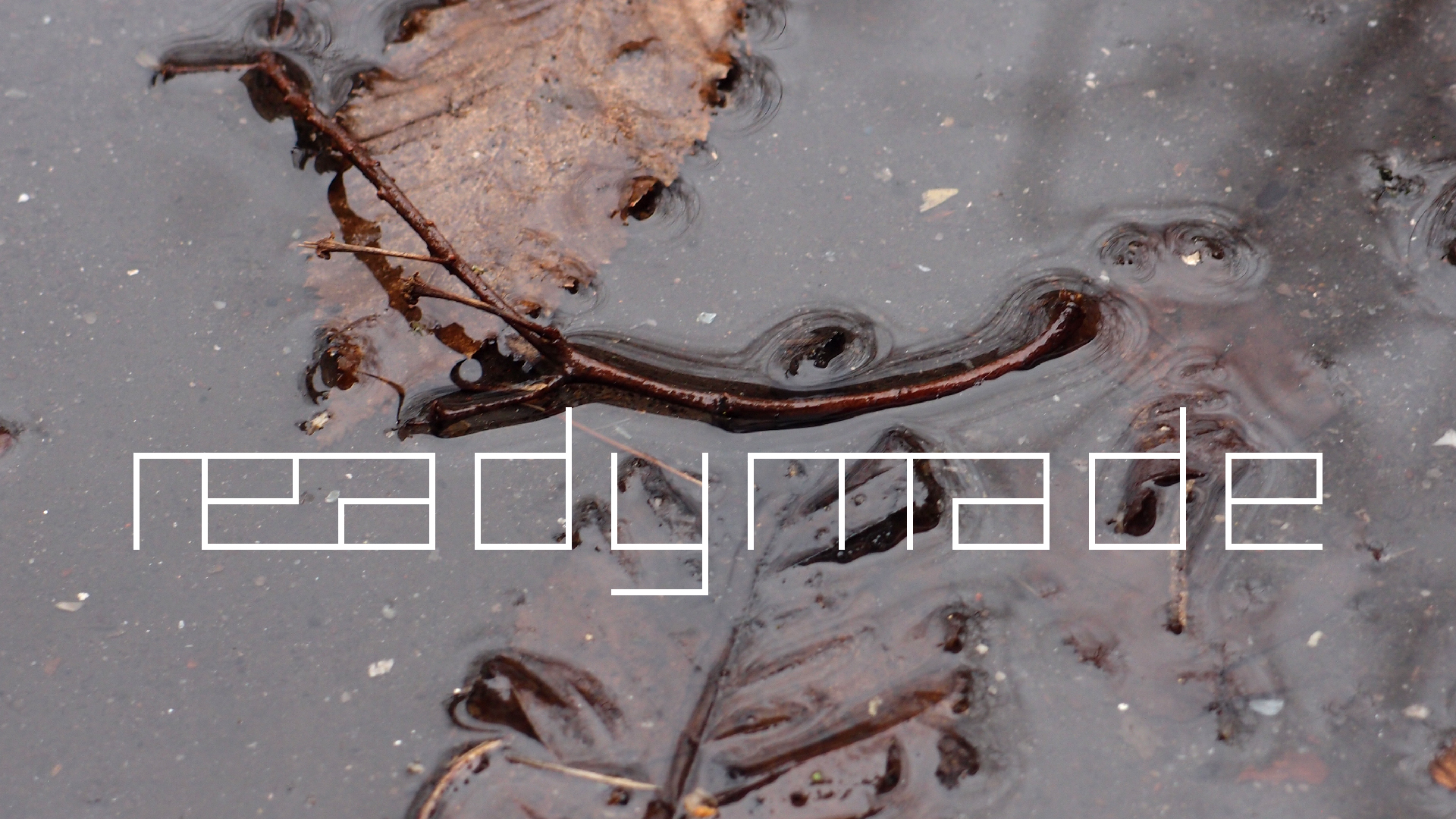 2022-02-17 Das Kleine Regen Rhythmus Orchester - Regen und Wind (Audio, Video)