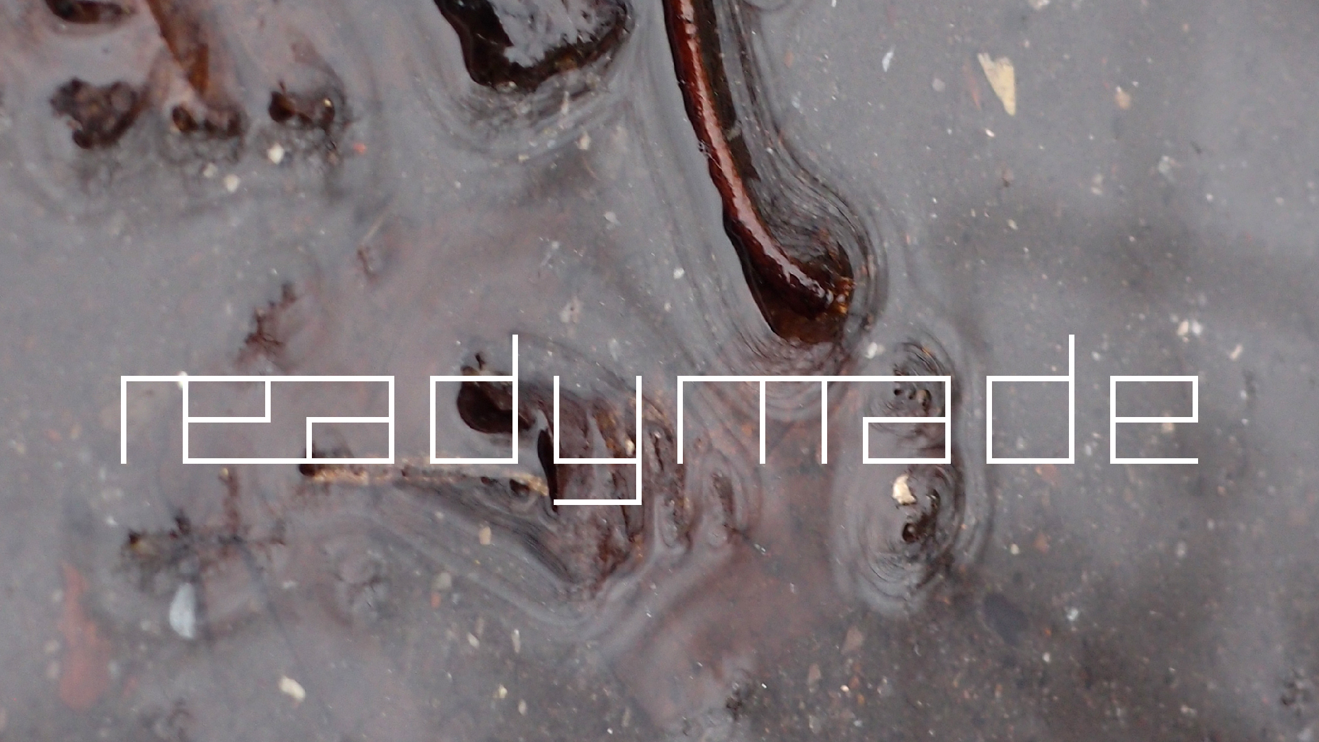 2022-02-17 Das Kleine Regen Rhythmus Orchester - Regen und Wind (Audio, Video)