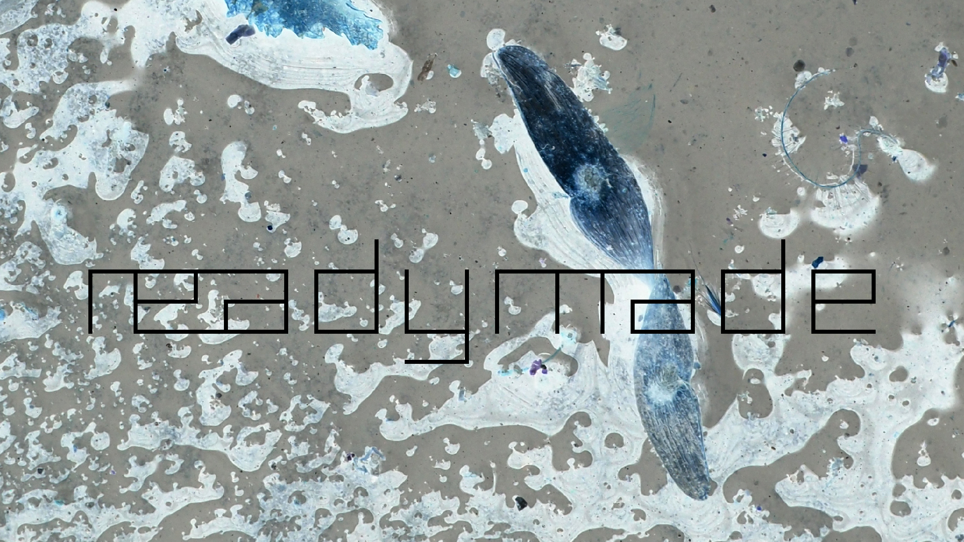 2022-02-17 Das Kleine Regen Rhythmus Orchester - Regen und Wind (Audio, Video)