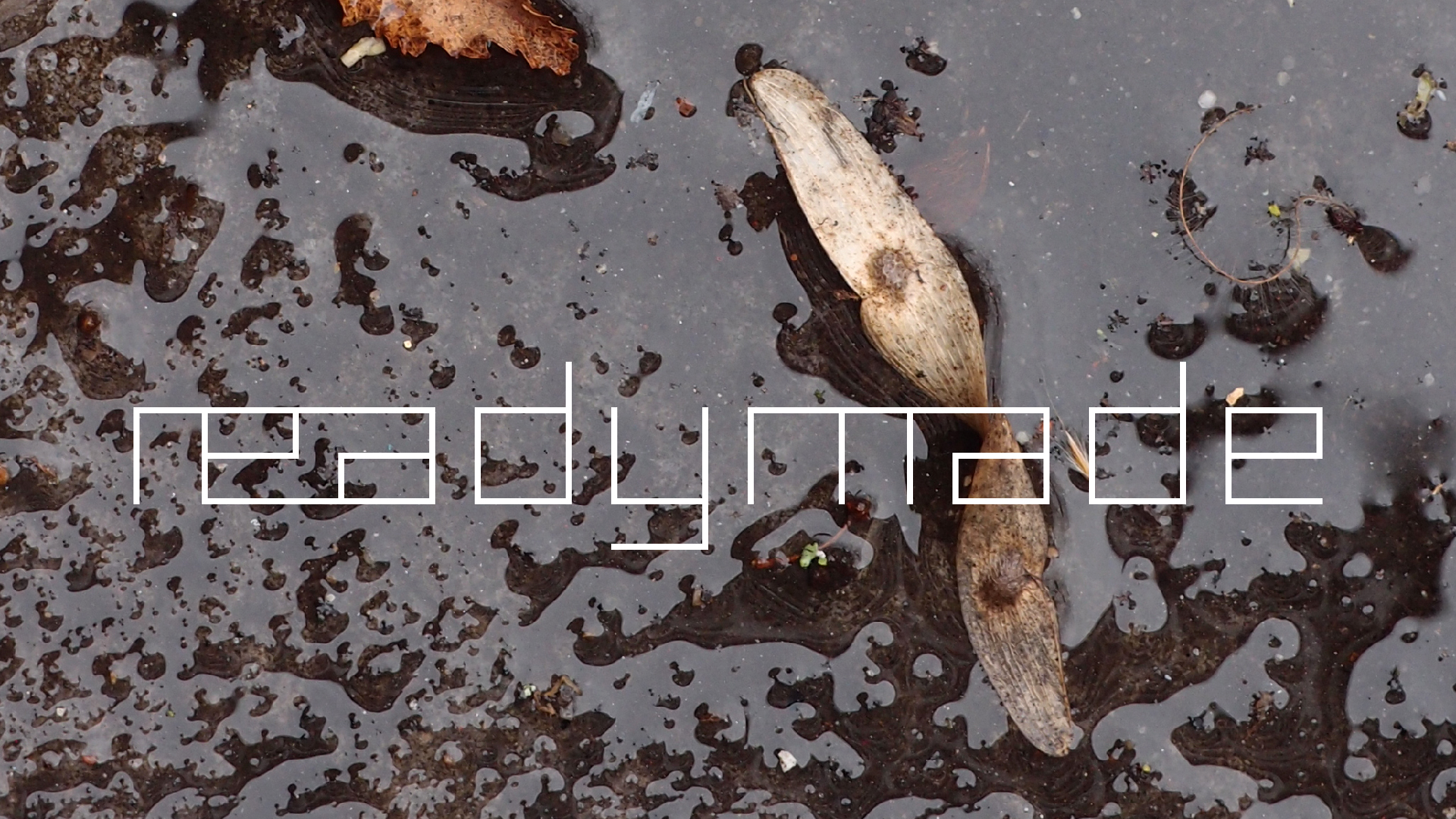 2022-02-17 Das Kleine Regen Rhythmus Orchester - Regen und Wind (Audio, Video)