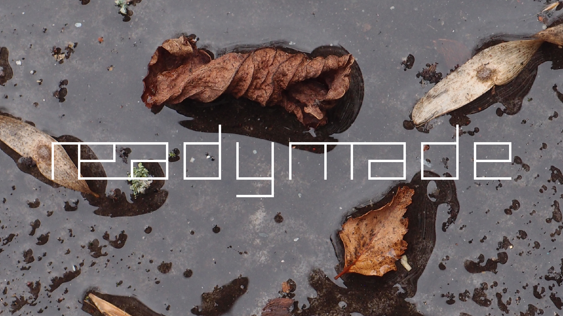 2022-02-17 Das Kleine Regen Rhythmus Orchester - Regen und Wind (Audio, Video)