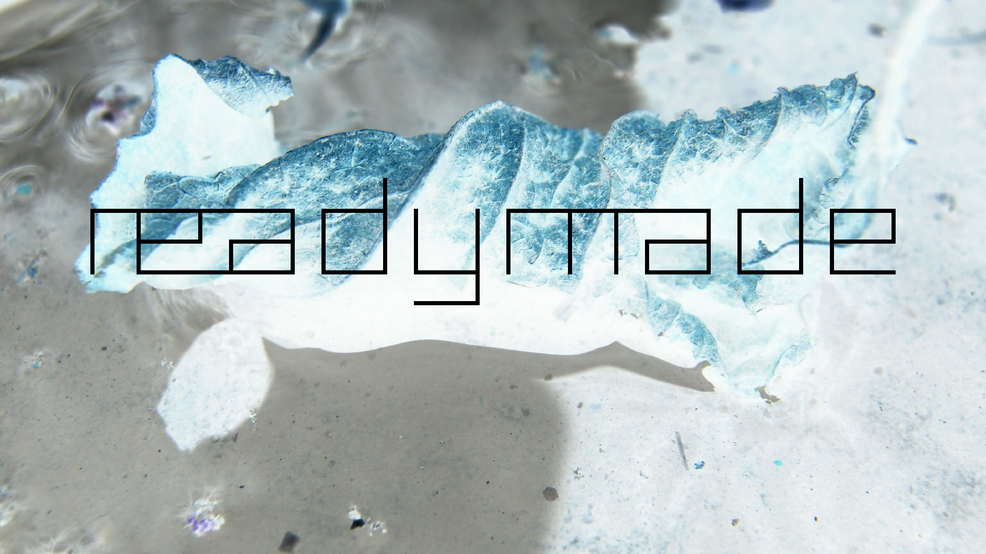 2022-02-17 Das Kleine Regen Rhythmus Orchester - Regen und Wind (Audio, Video)