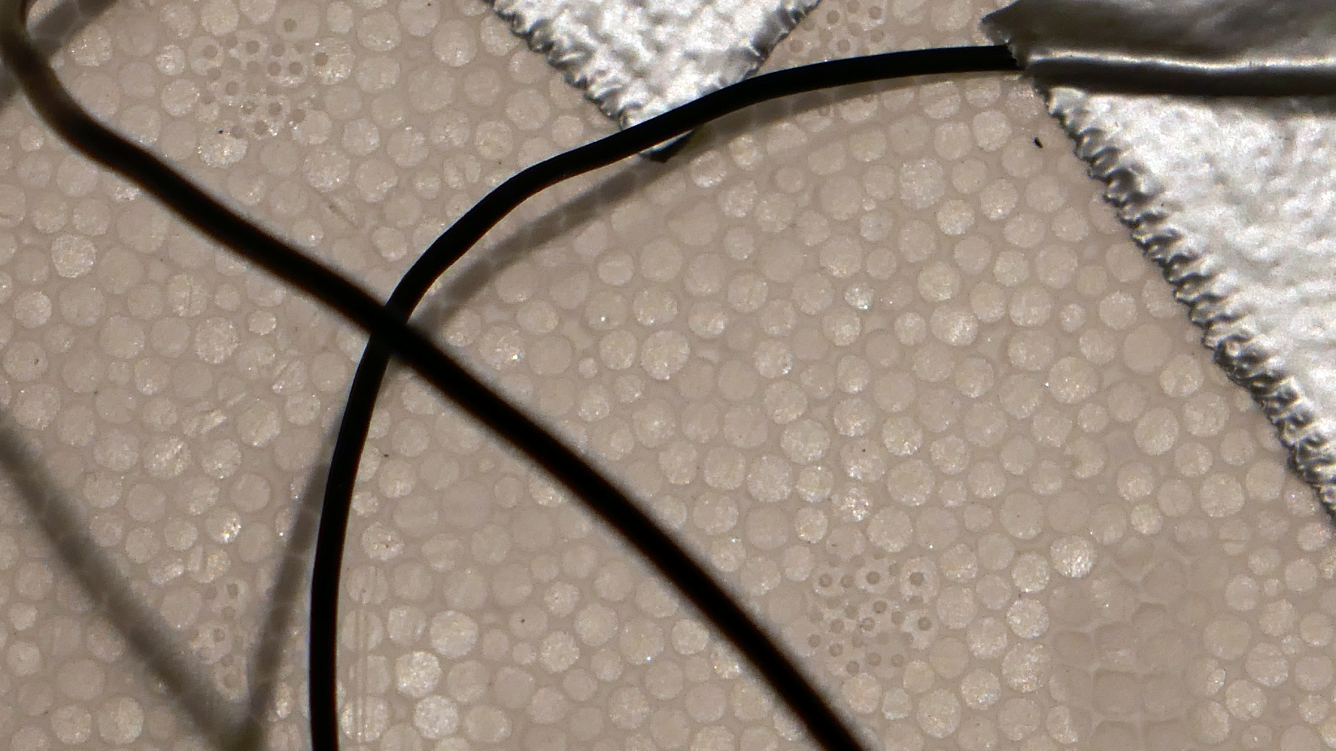 2022-02-18 Das Kleine Regen Rhythmus Orchester (Styroporbox) (Audio, Video)