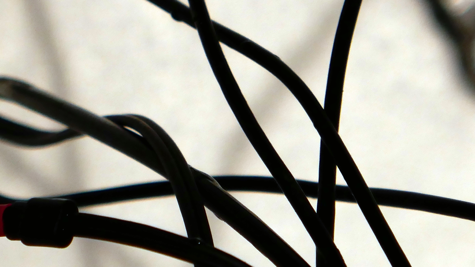 2022-02-18 Das Kleine Regen Rhythmus Orchester (Styroporbox) (Audio, Video)