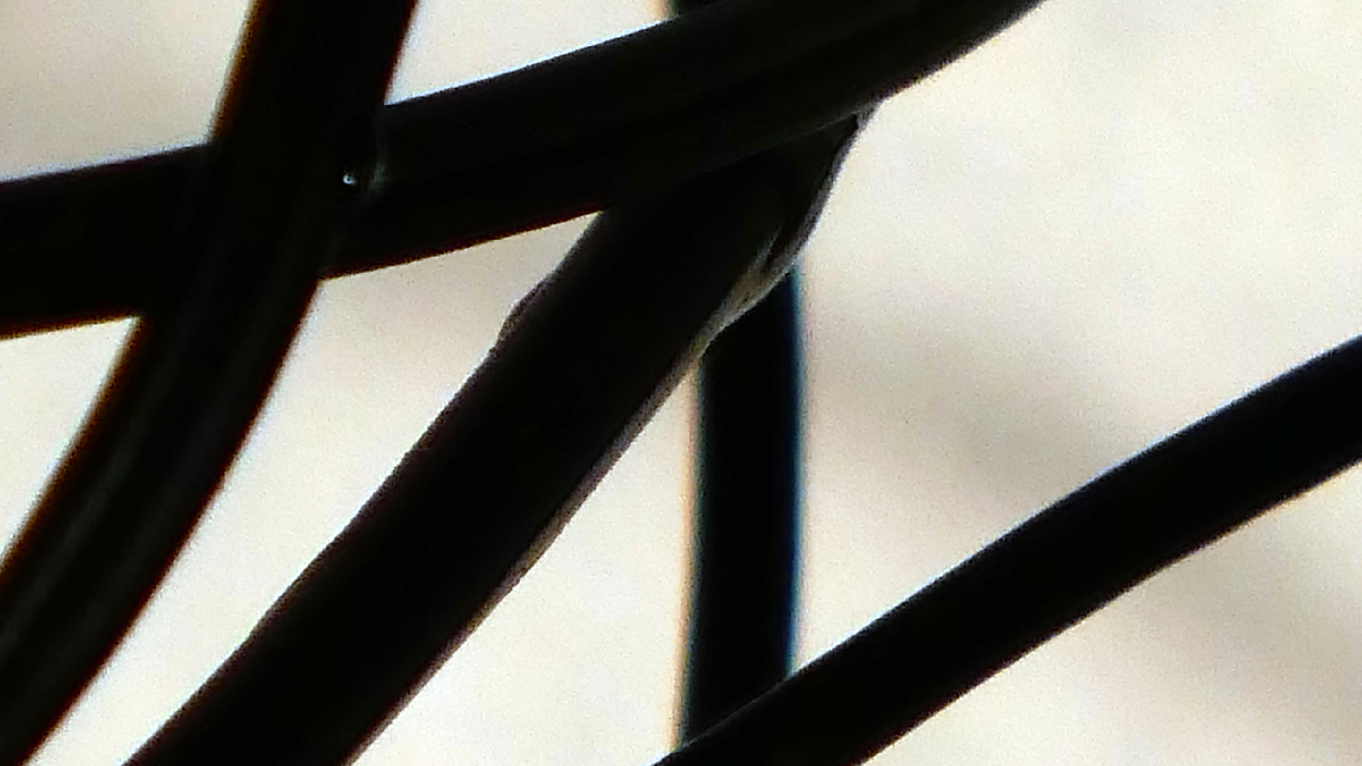 2022-02-18 Das Kleine Regen Rhythmus Orchester (Styroporbox) (Audio, Video)