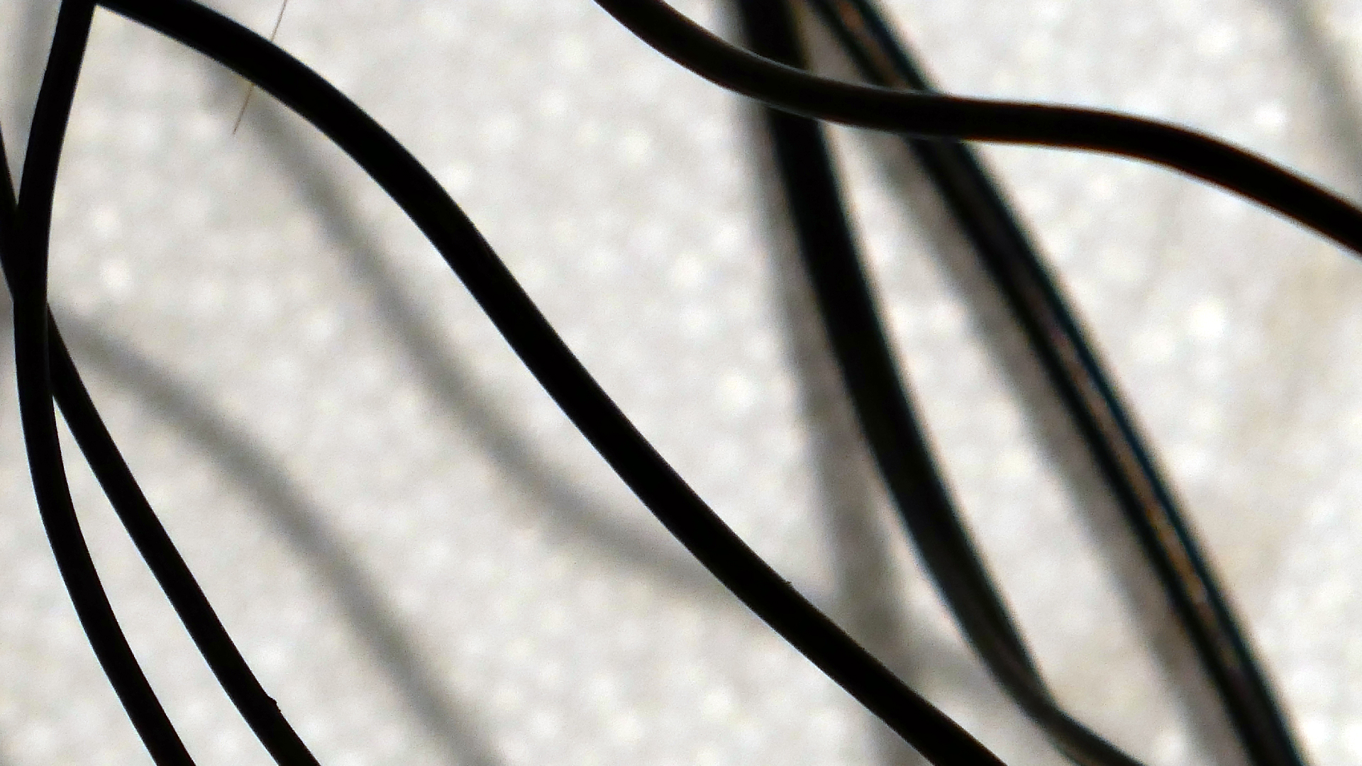 2022-02-18 Das Kleine Regen Rhythmus Orchester (Styroporbox) (Audio, Video)