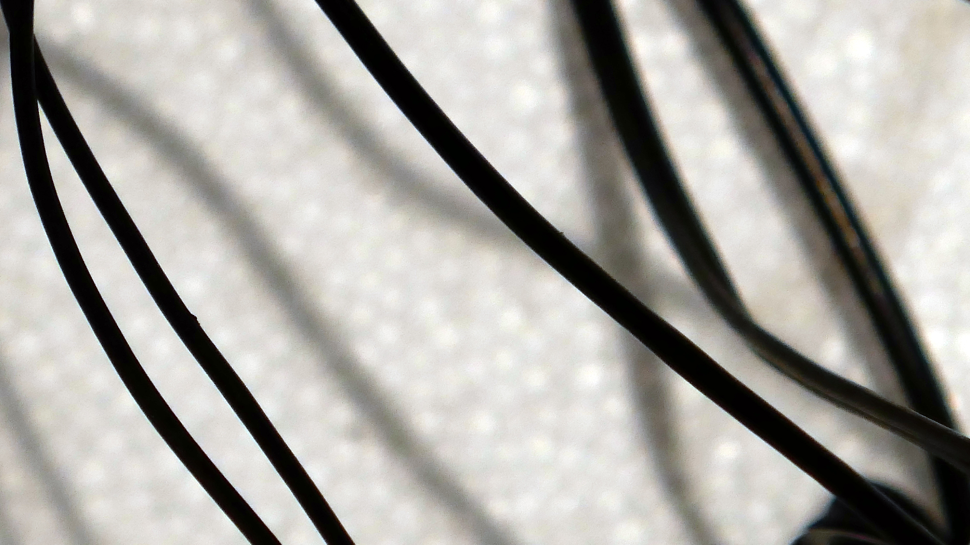 2022-02-18 Das Kleine Regen Rhythmus Orchester (Styroporbox) (Audio, Video)