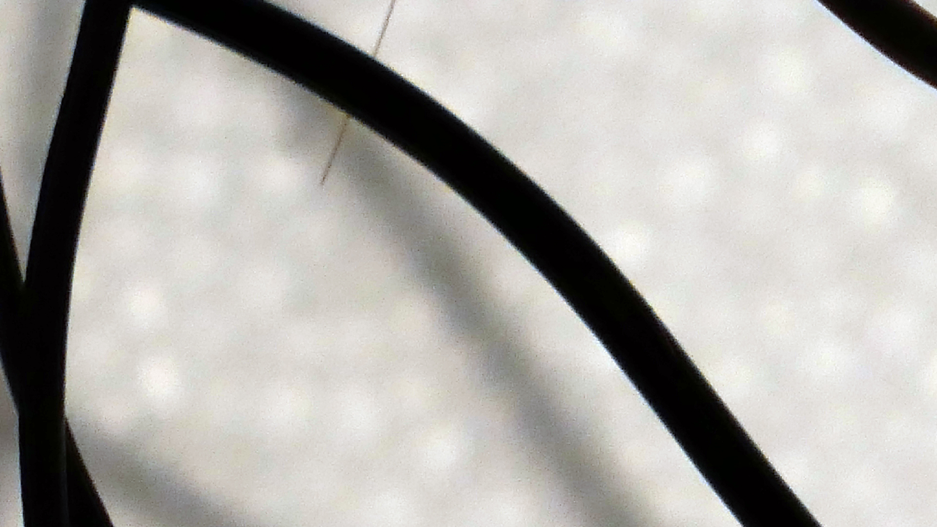 2022-02-18 Das Kleine Regen Rhythmus Orchester (Styroporbox) (Audio, Video)