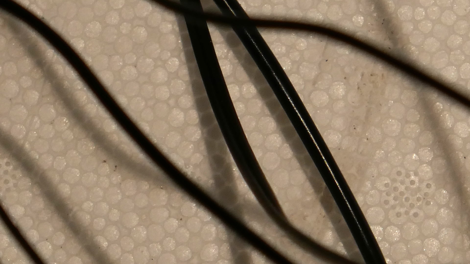 2022-02-18 Das Kleine Regen Rhythmus Orchester (Styroporbox) (Audio, Video)