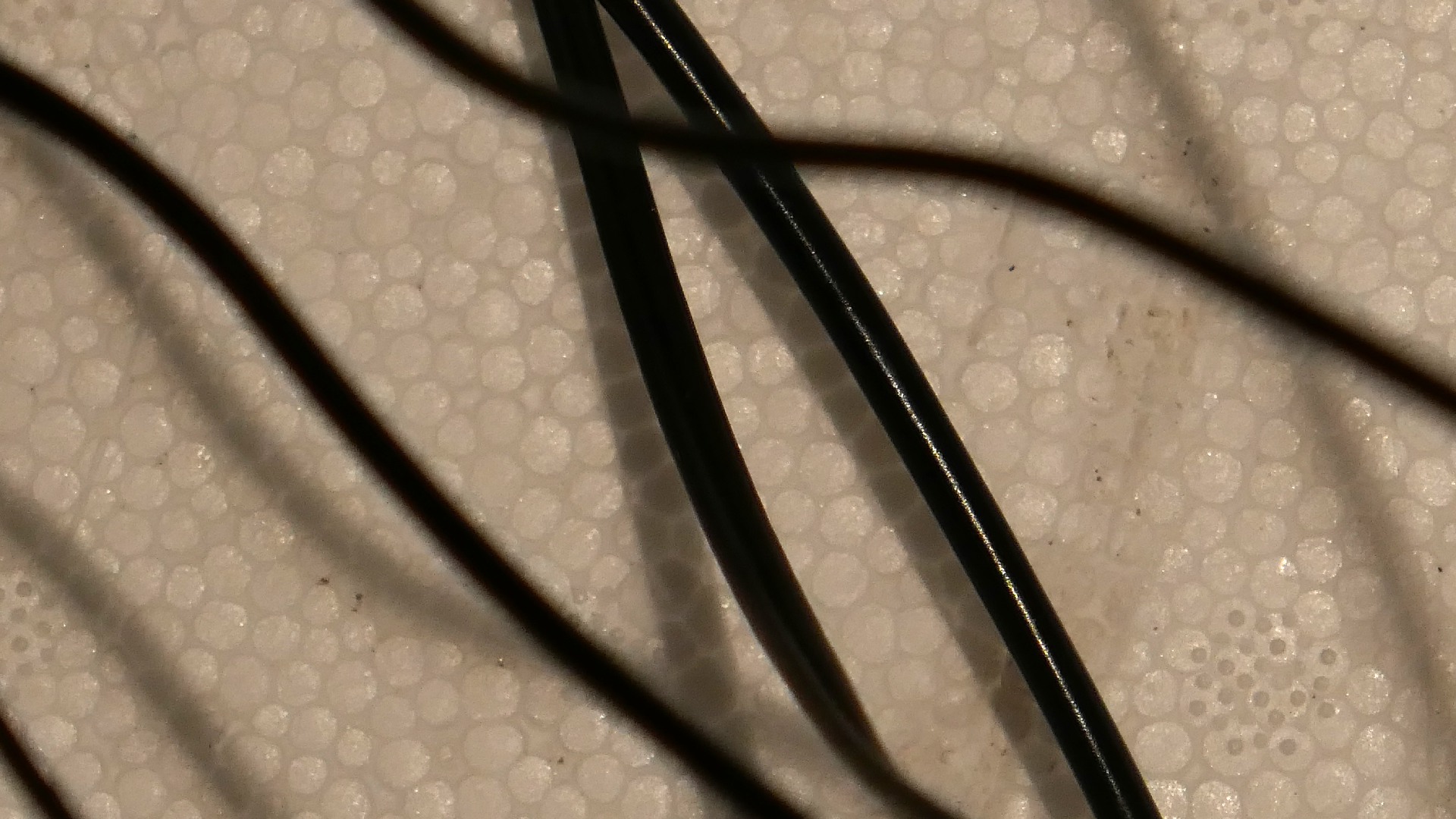 2022-02-18 Das Kleine Regen Rhythmus Orchester (Styroporbox) (Audio, Video)