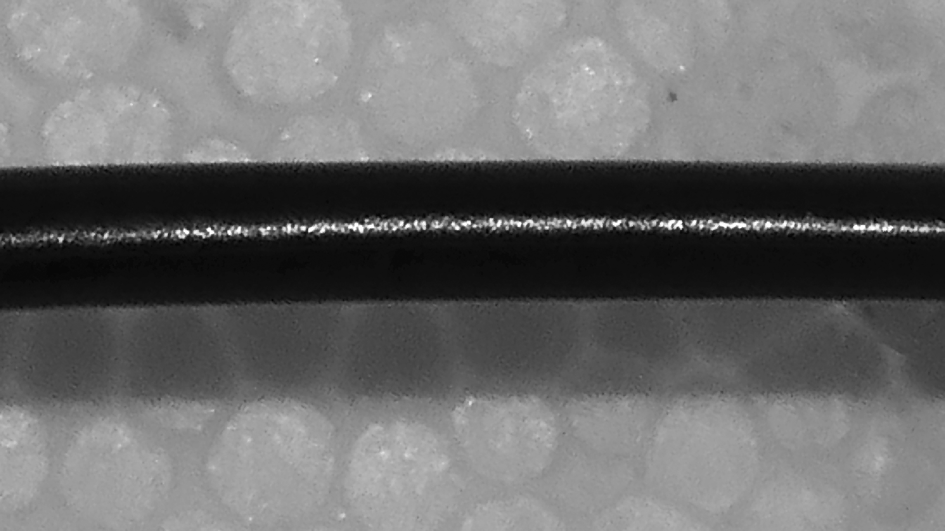 2022-02-18 Das Kleine Regen Rhythmus Orchester (Styroporbox) (Audio, Video)