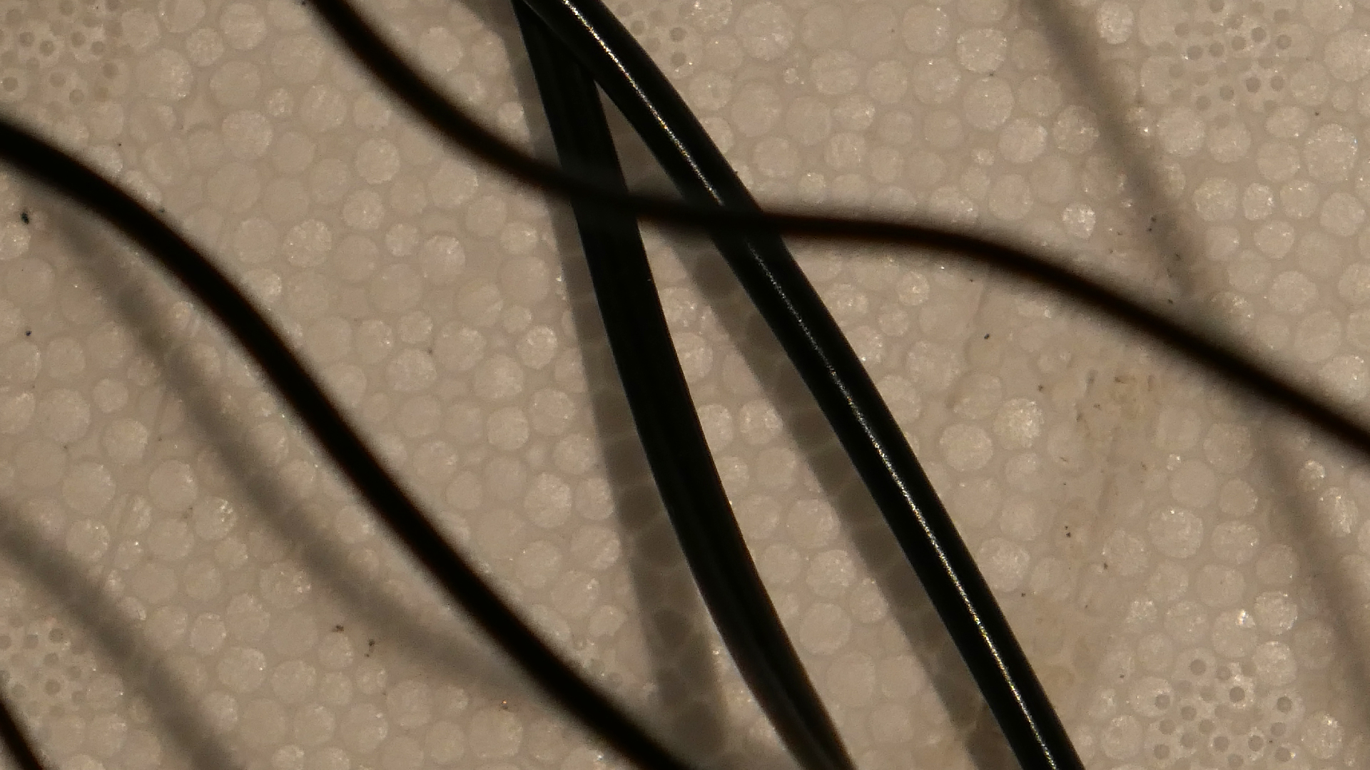 2022-02-18 Das Kleine Regen Rhythmus Orchester (Styroporbox) (Audio, Video)