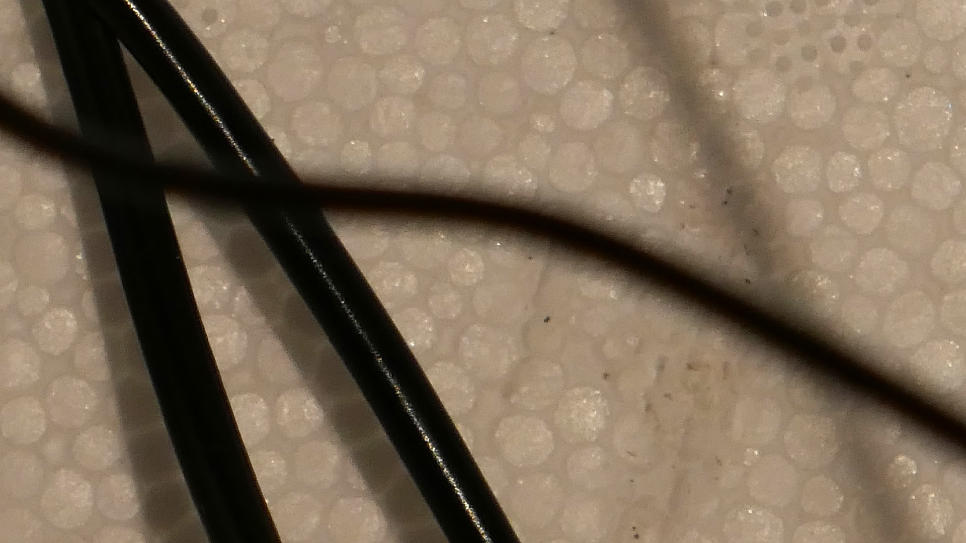 2022-02-18 Das Kleine Regen Rhythmus Orchester (Styroporbox) (Audio, Video)