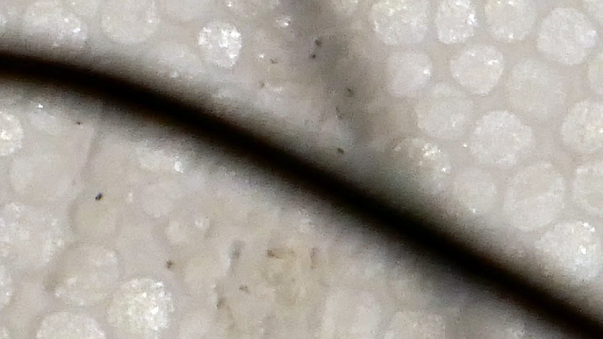 2022-02-18 Das Kleine Regen Rhythmus Orchester (Styroporbox) (Audio, Video)