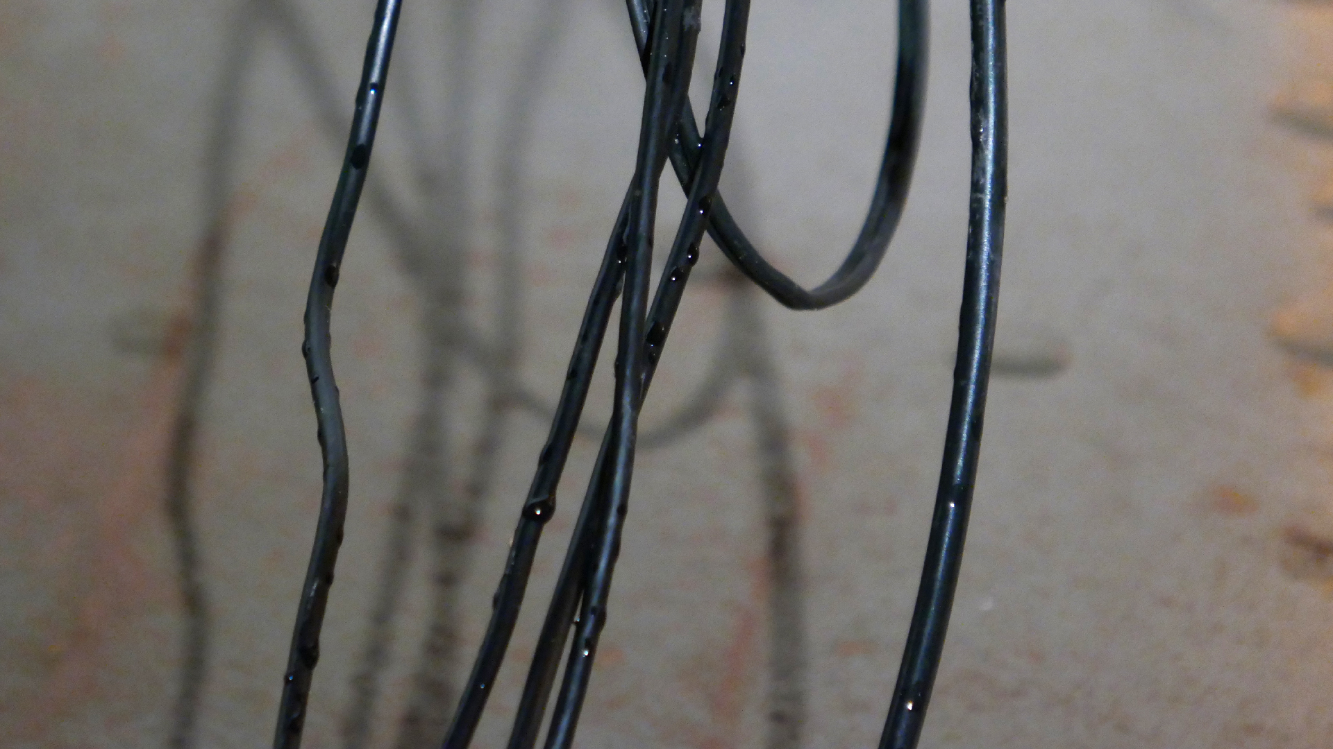 2022-02-18 Das Kleine Regen Rhythmus Orchester (Styroporbox) (Audio, Video)