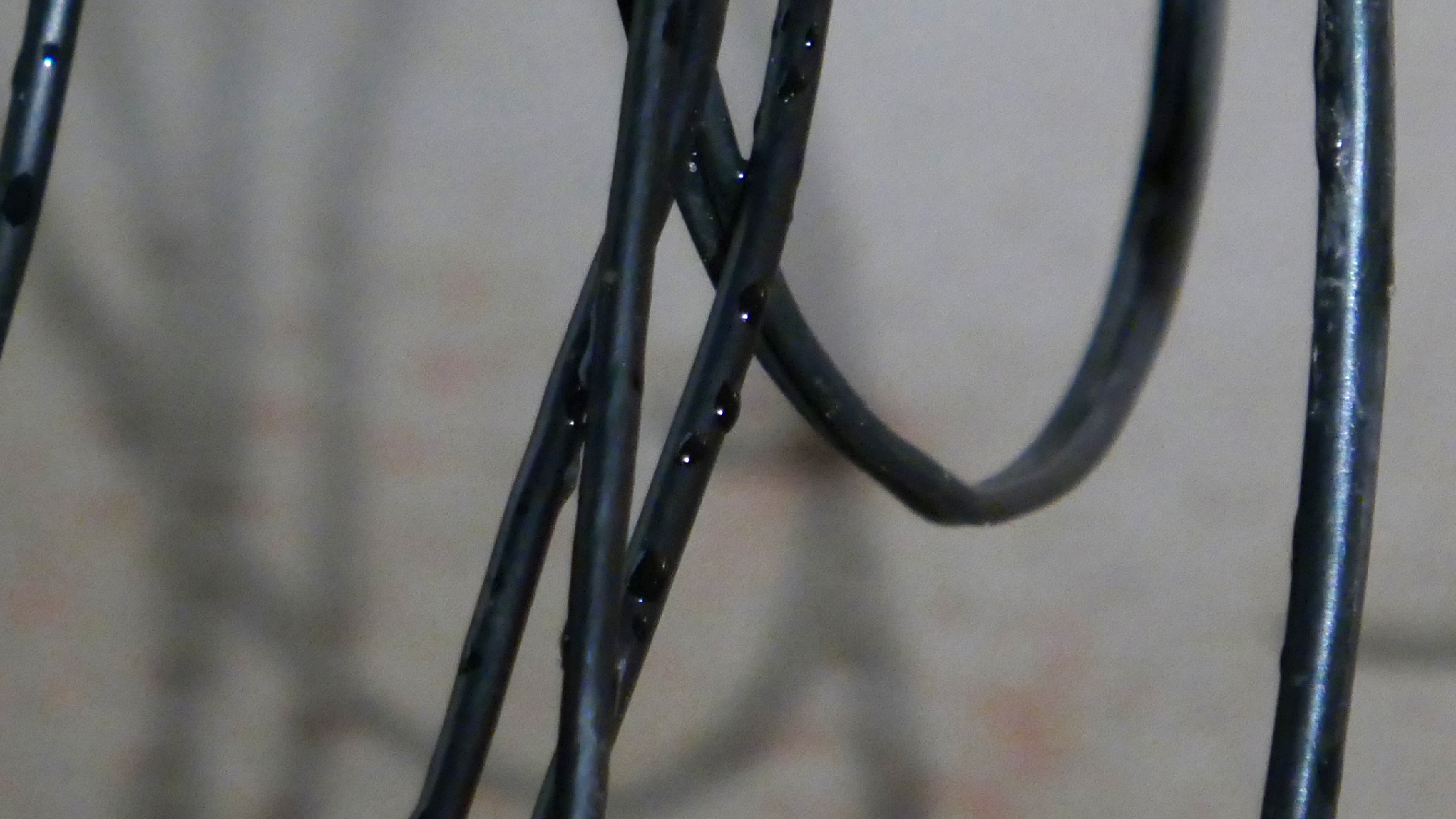 2022-02-18 Das Kleine Regen Rhythmus Orchester (Styroporbox) (Audio, Video)