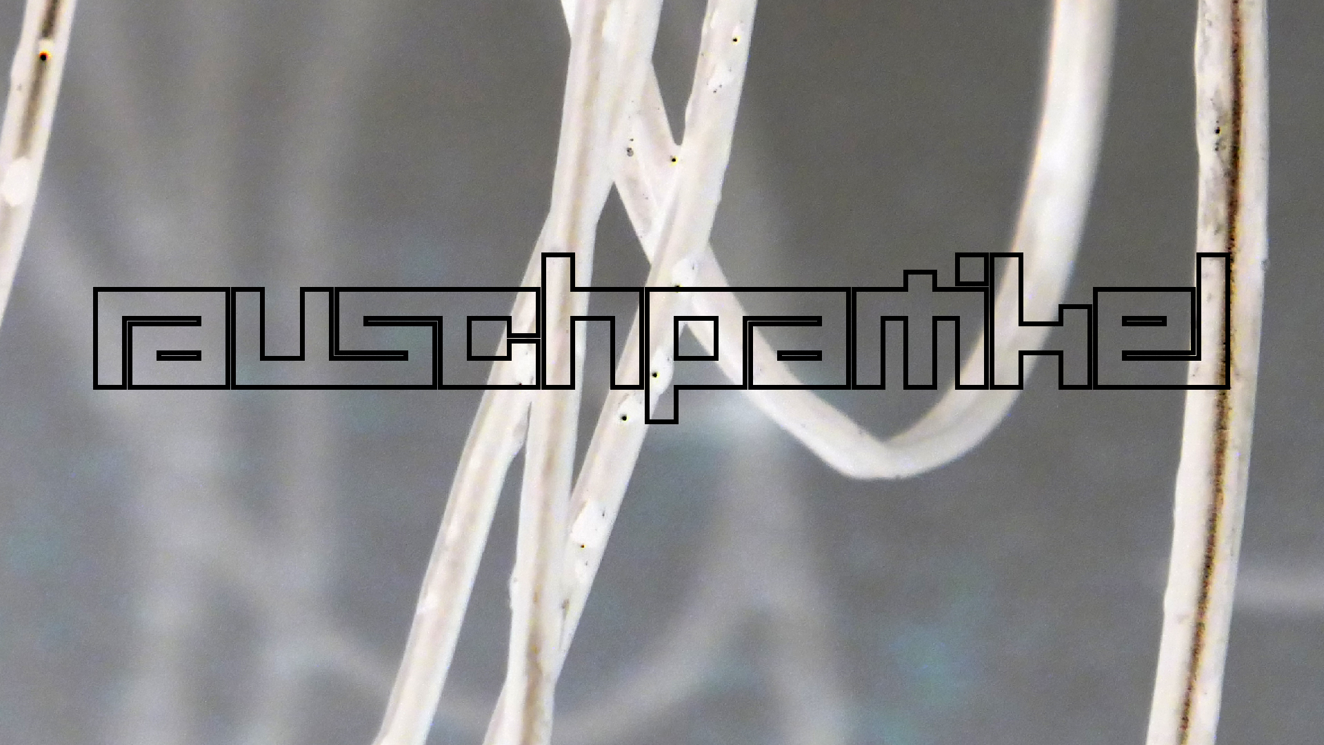 2022-02-18 Das Kleine Regen Rhythmus Orchester (Styroporbox) (Audio, Video)