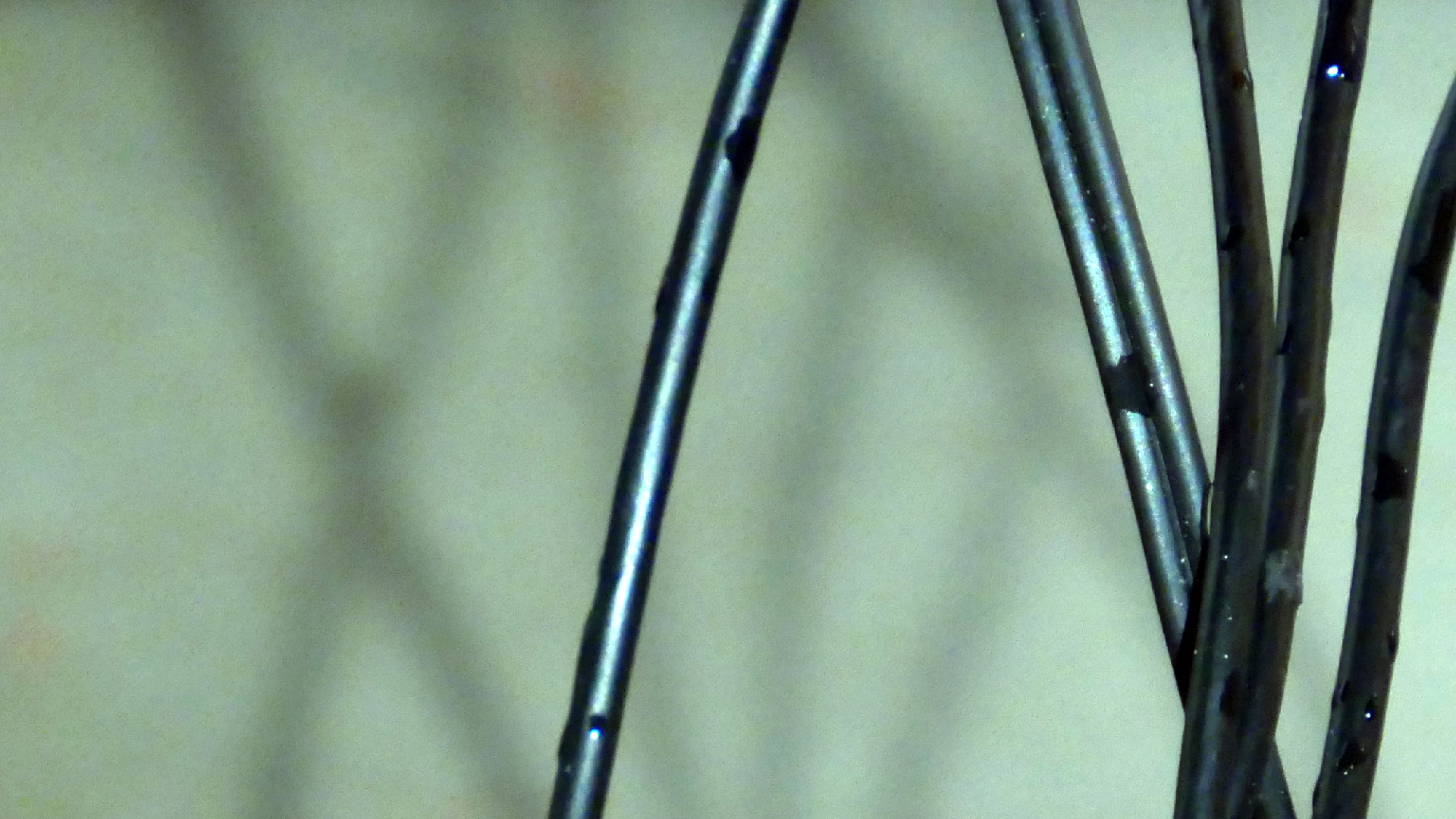 2022-02-18 Das Kleine Regen Rhythmus Orchester (Styroporbox) (Audio, Video)