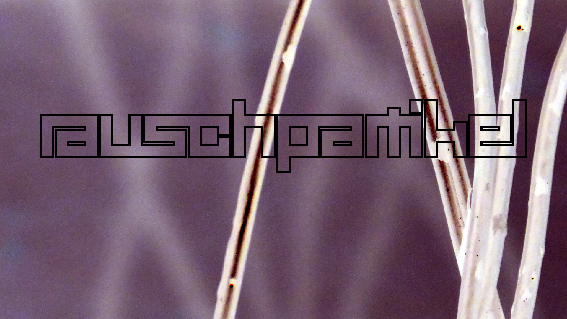 2022-02-18 Das Kleine Regen Rhythmus Orchester (Styroporbox) (Audio, Video)