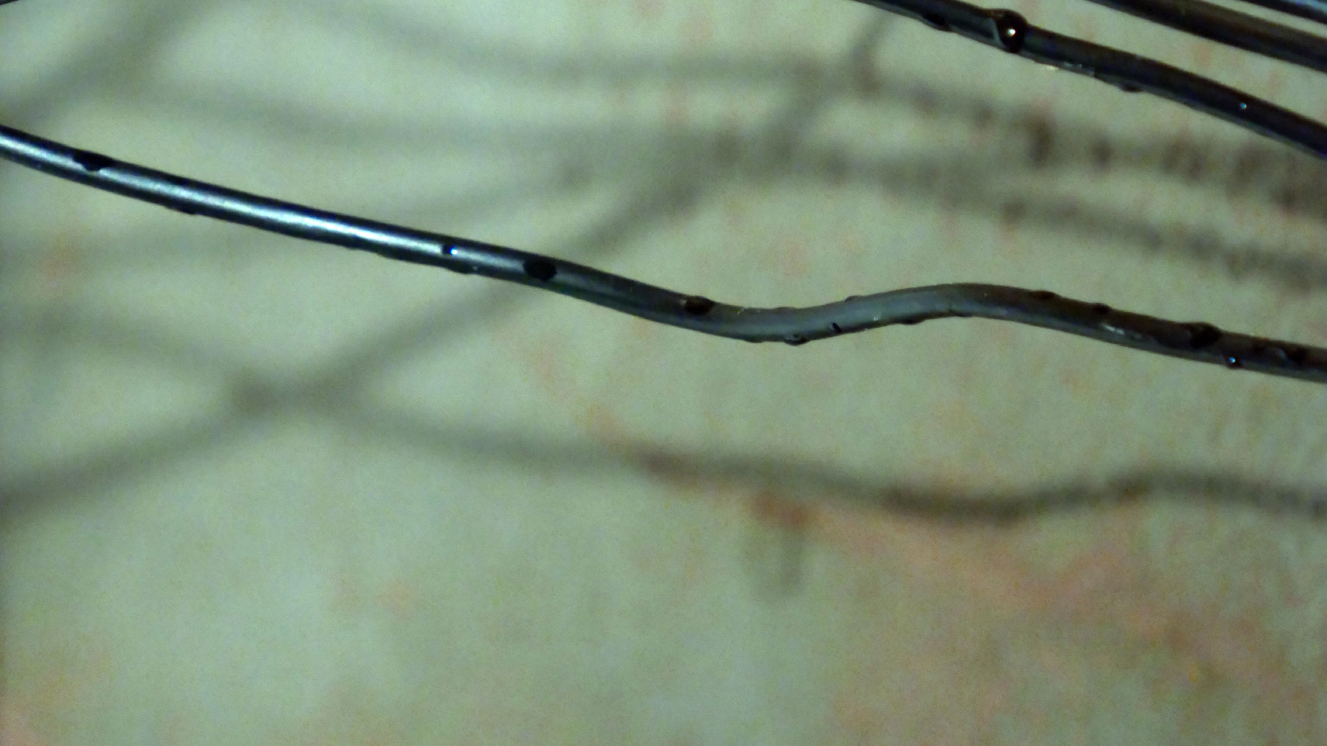 2022-02-18 Das Kleine Regen Rhythmus Orchester (Styroporbox) (Audio, Video)