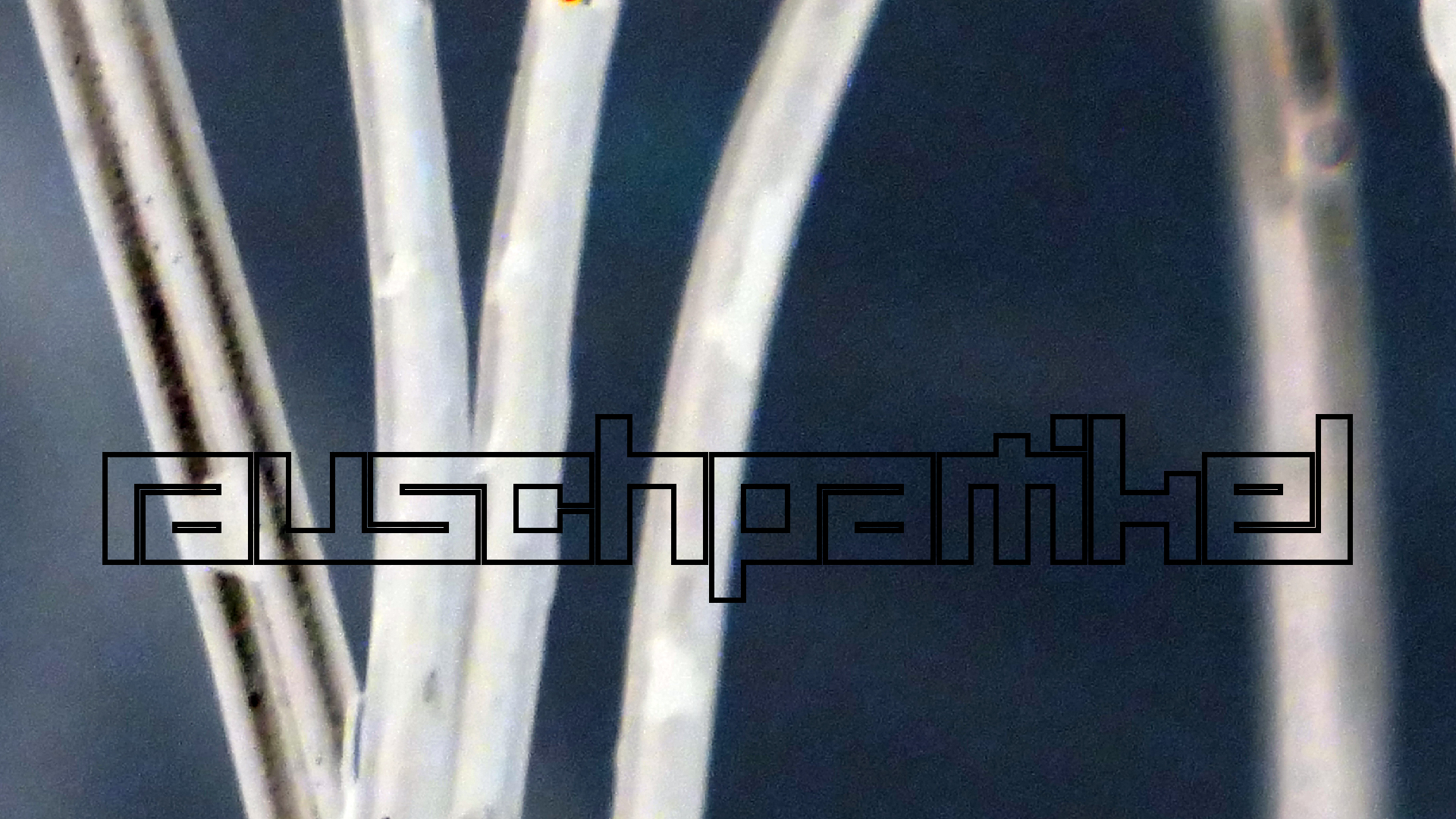 2022-02-18 Das Kleine Regen Rhythmus Orchester (Styroporbox) (Audio, Video)