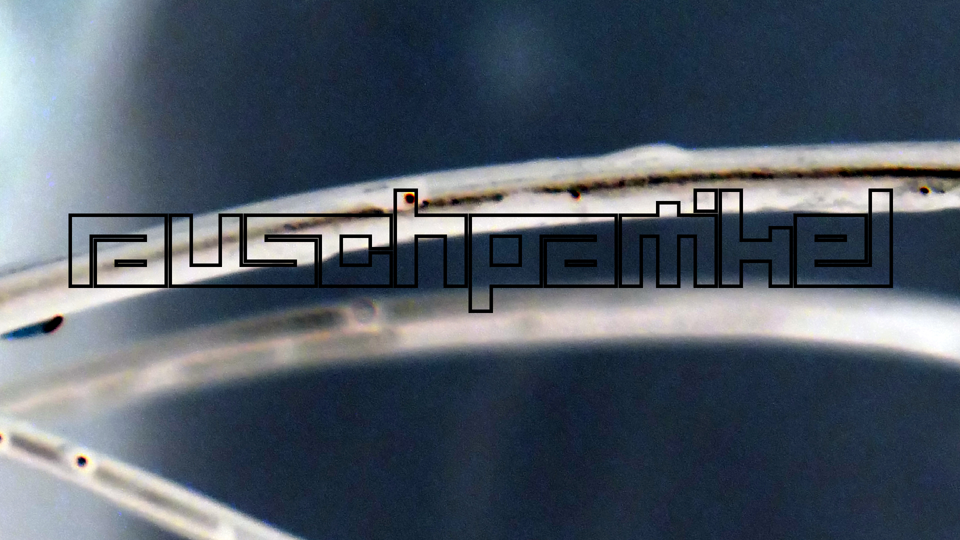 2022-02-18 Das Kleine Regen Rhythmus Orchester (Styroporbox) (Audio, Video)