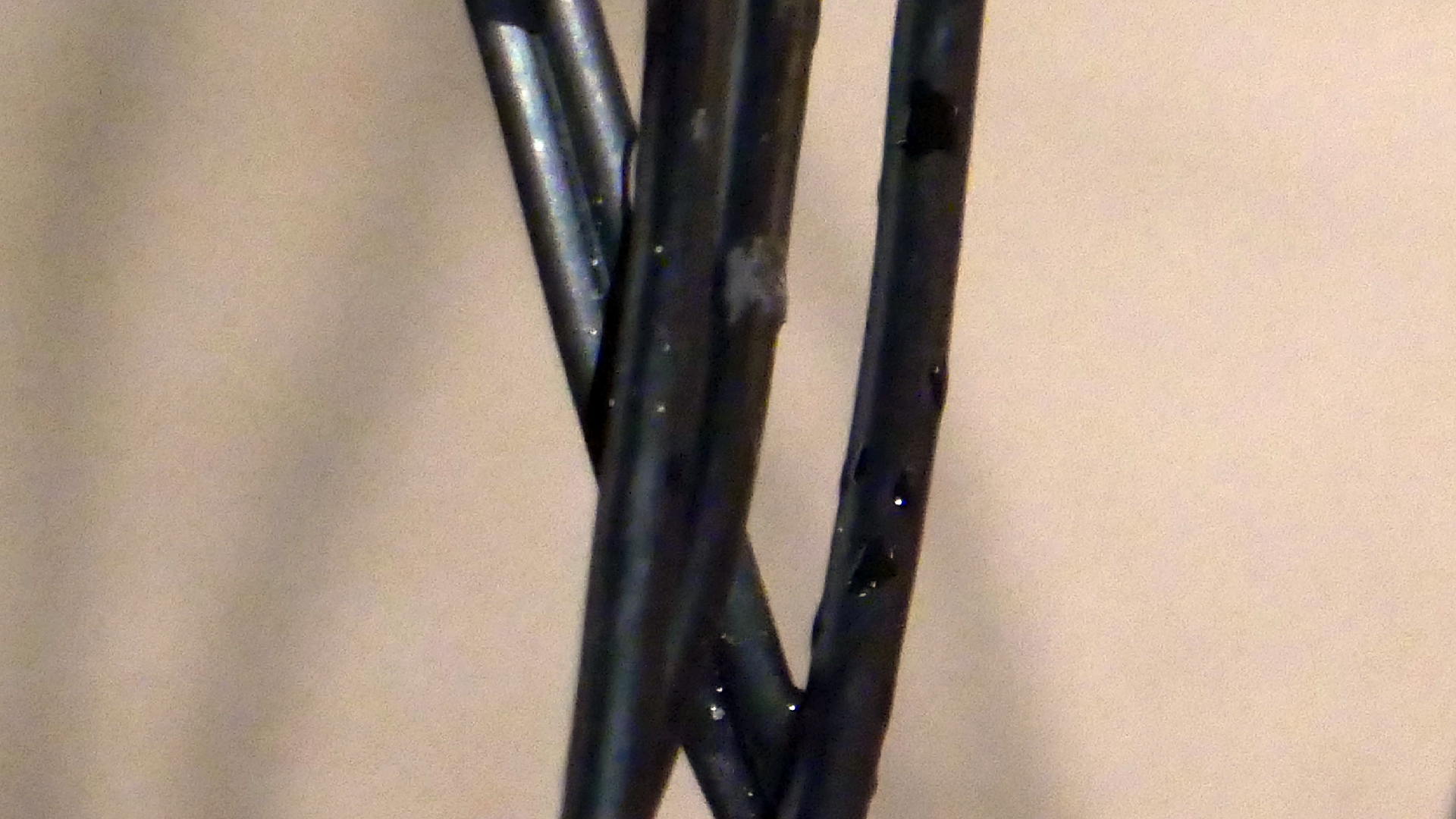 2022-02-18 Das Kleine Regen Rhythmus Orchester (Styroporbox) (Audio, Video)