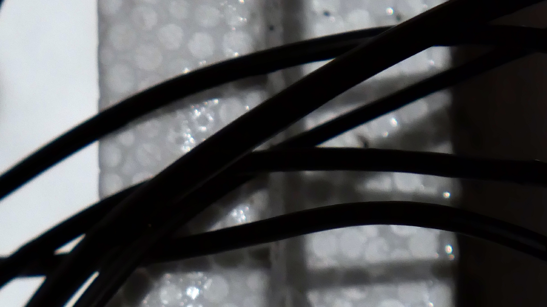 2022-02-18 Das Kleine Regen Rhythmus Orchester (Styroporbox) (Audio, Video)