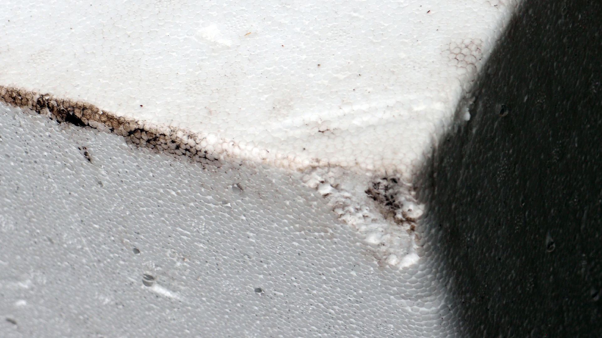 2022-02-18 Das Kleine Regen Rhythmus Orchester (Styroporbox) (Audio, Video)