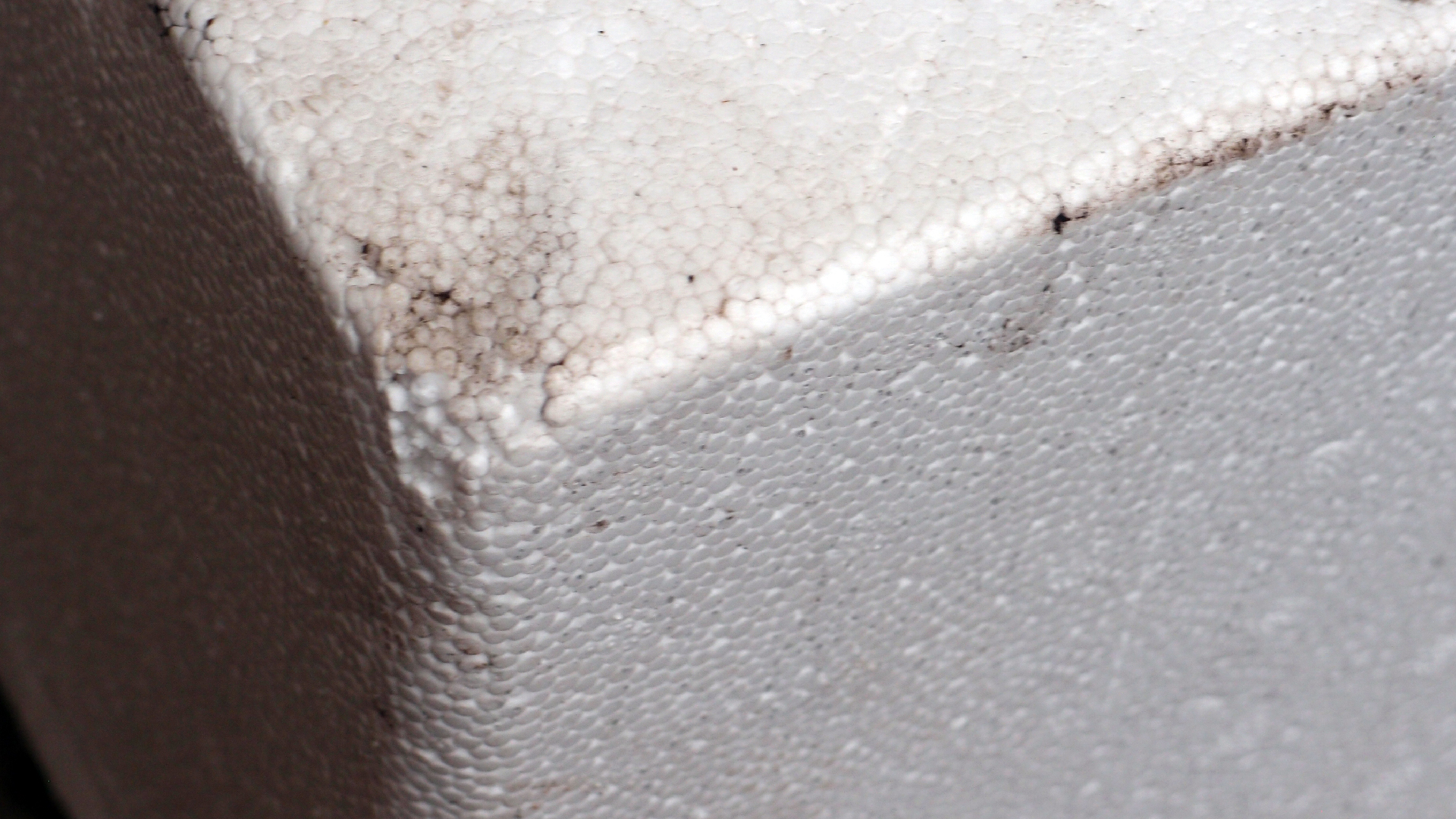 2022-02-18 Das Kleine Regen Rhythmus Orchester (Styroporbox) (Audio, Video)