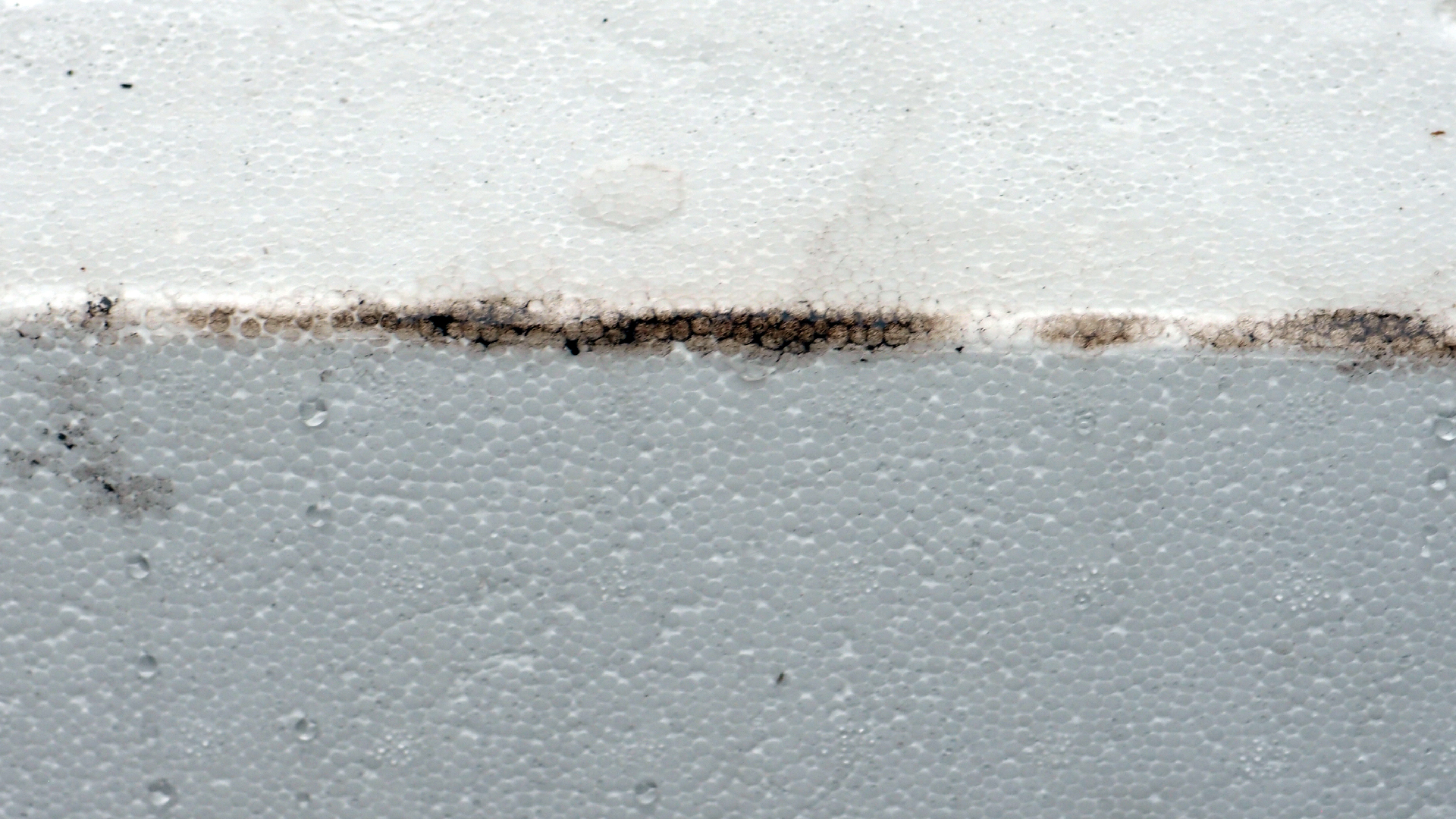 2022-02-18 Das Kleine Regen Rhythmus Orchester (Styroporbox) (Audio, Video)