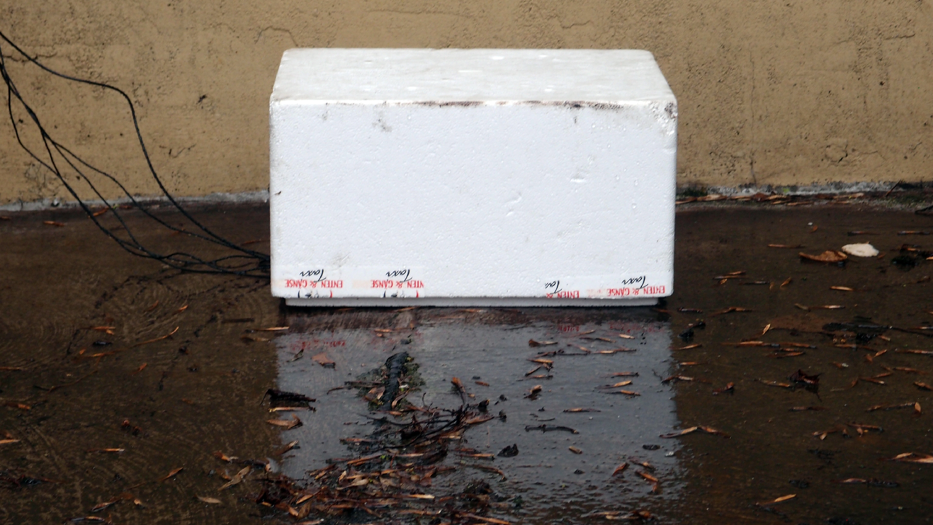 2022-02-18 Das Kleine Regen Rhythmus Orchester (Styroporbox) (Audio, Video)