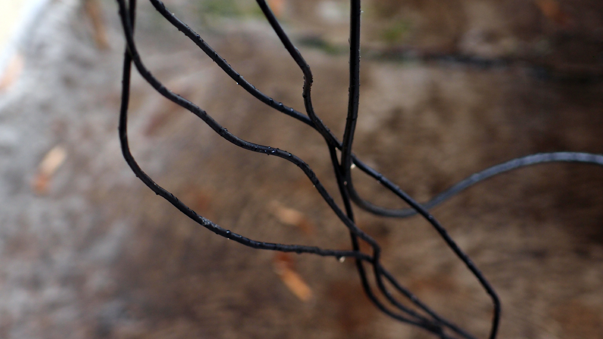 2022-02-18 Das Kleine Regen Rhythmus Orchester (Styroporbox) (Audio, Video)