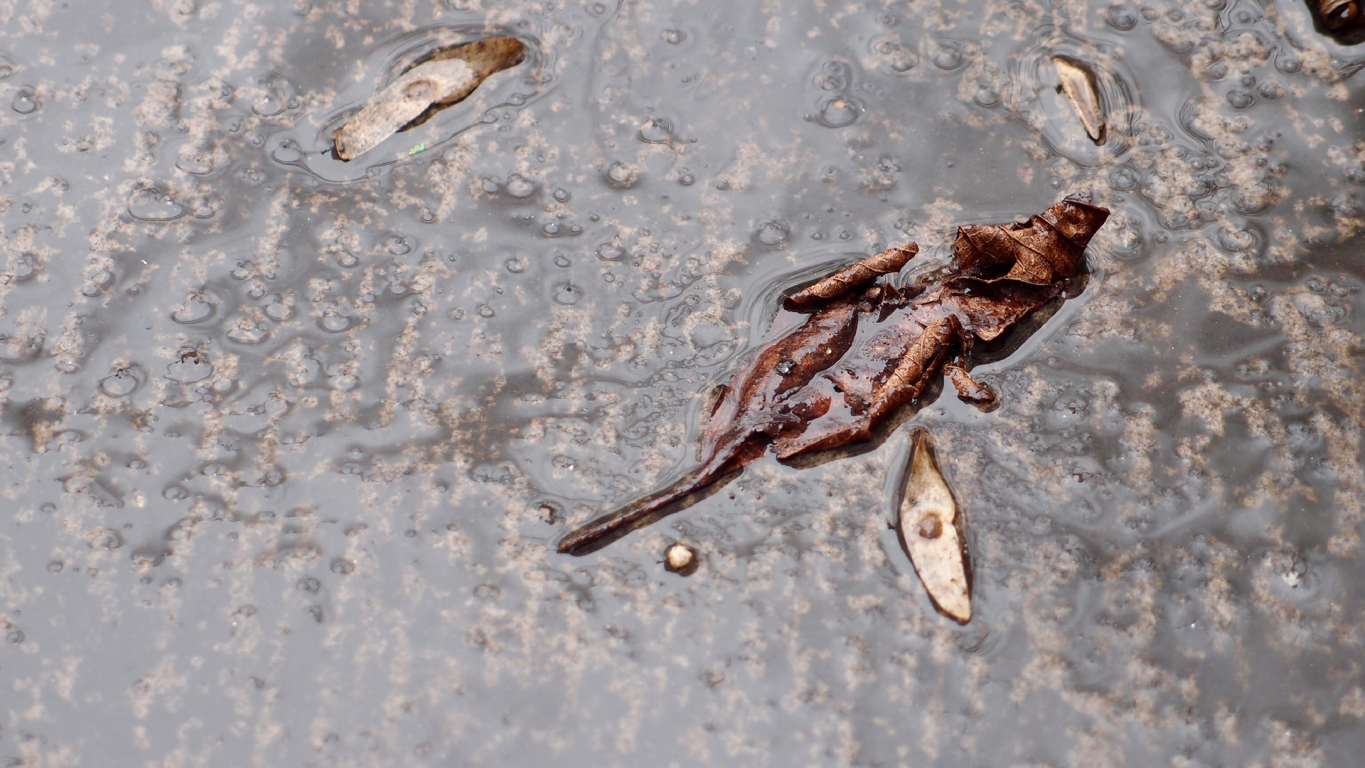 2022-02-21 Ensemble I (2 x Aluminium & Plaste) (Audio, Video)