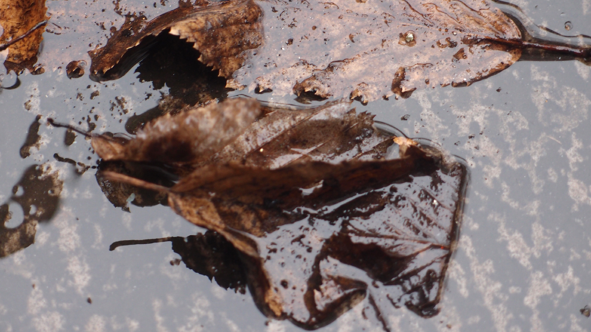 2022-02-21 Ensemble I (2 x Aluminium & Plaste) (Audio, Video)