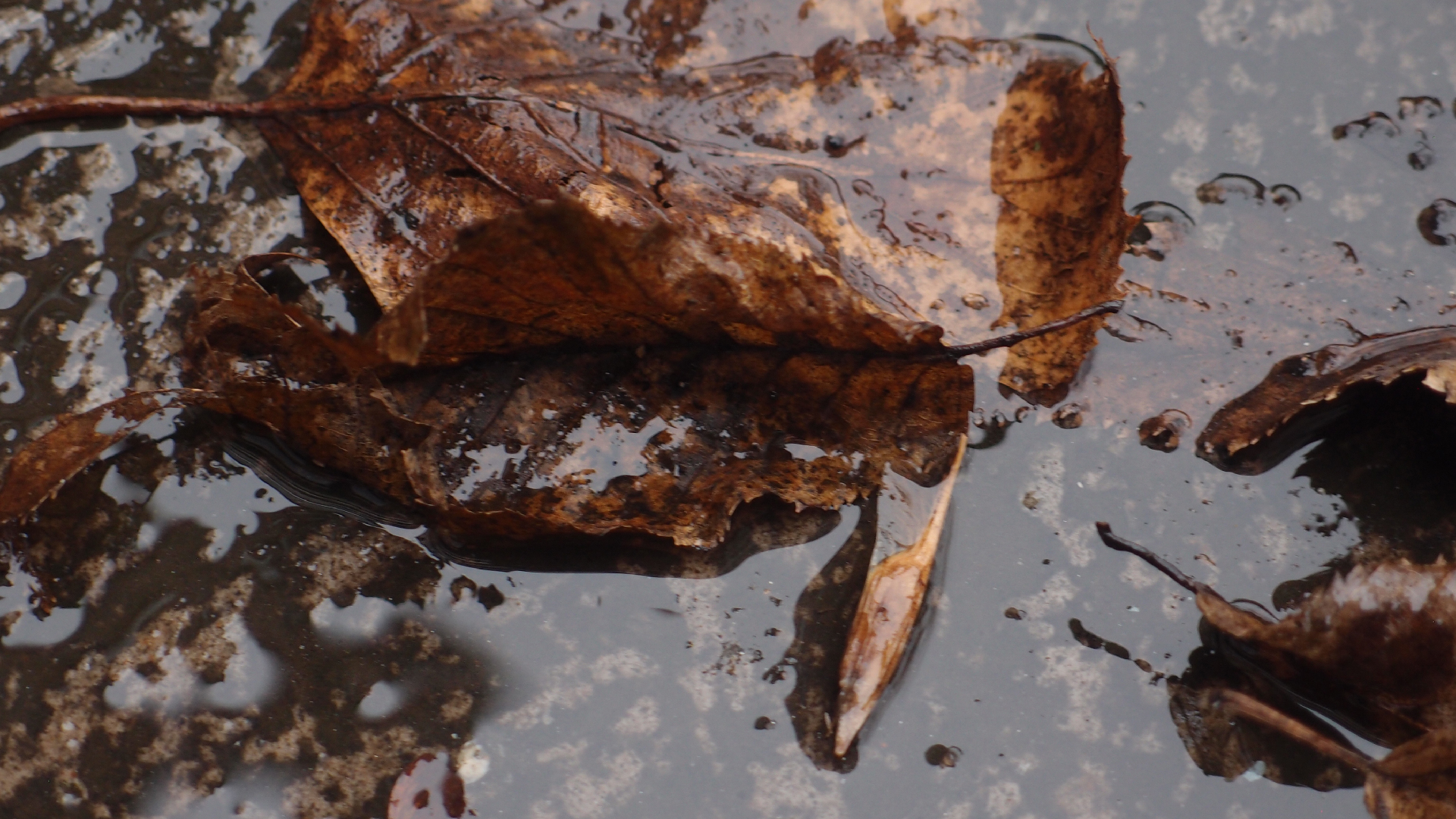 2022-02-21 Ensemble I (2 x Aluminium & Plaste) (Audio, Video)