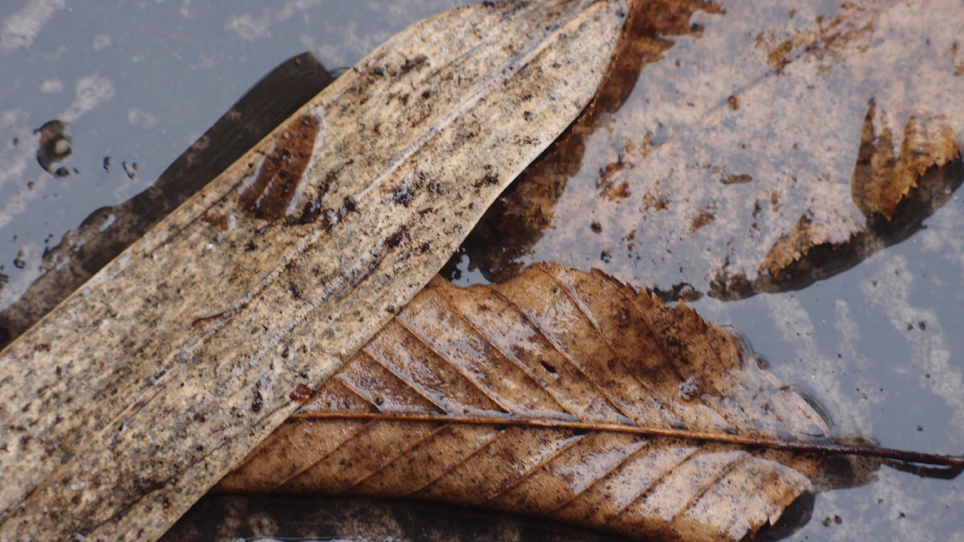 2022-02-21 Ensemble I (2 x Aluminium & Plaste) (Audio, Video)