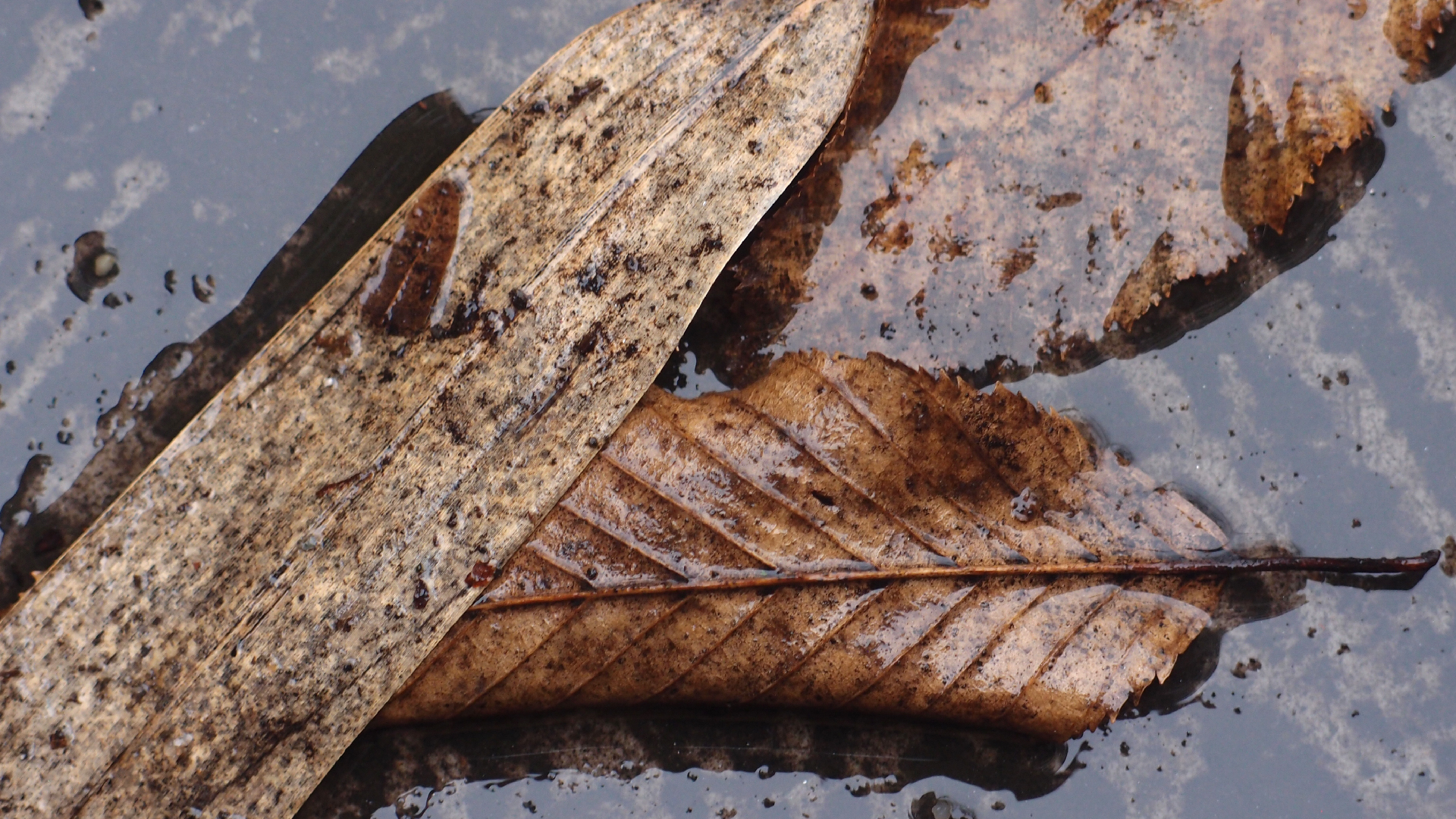 2022-02-21 Ensemble I (2 x Aluminium & Plaste) (Audio, Video)