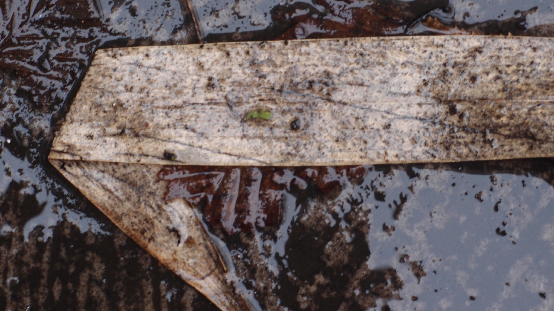 2022-02-21 Ensemble I (2 x Aluminium & Plaste) (Audio, Video)